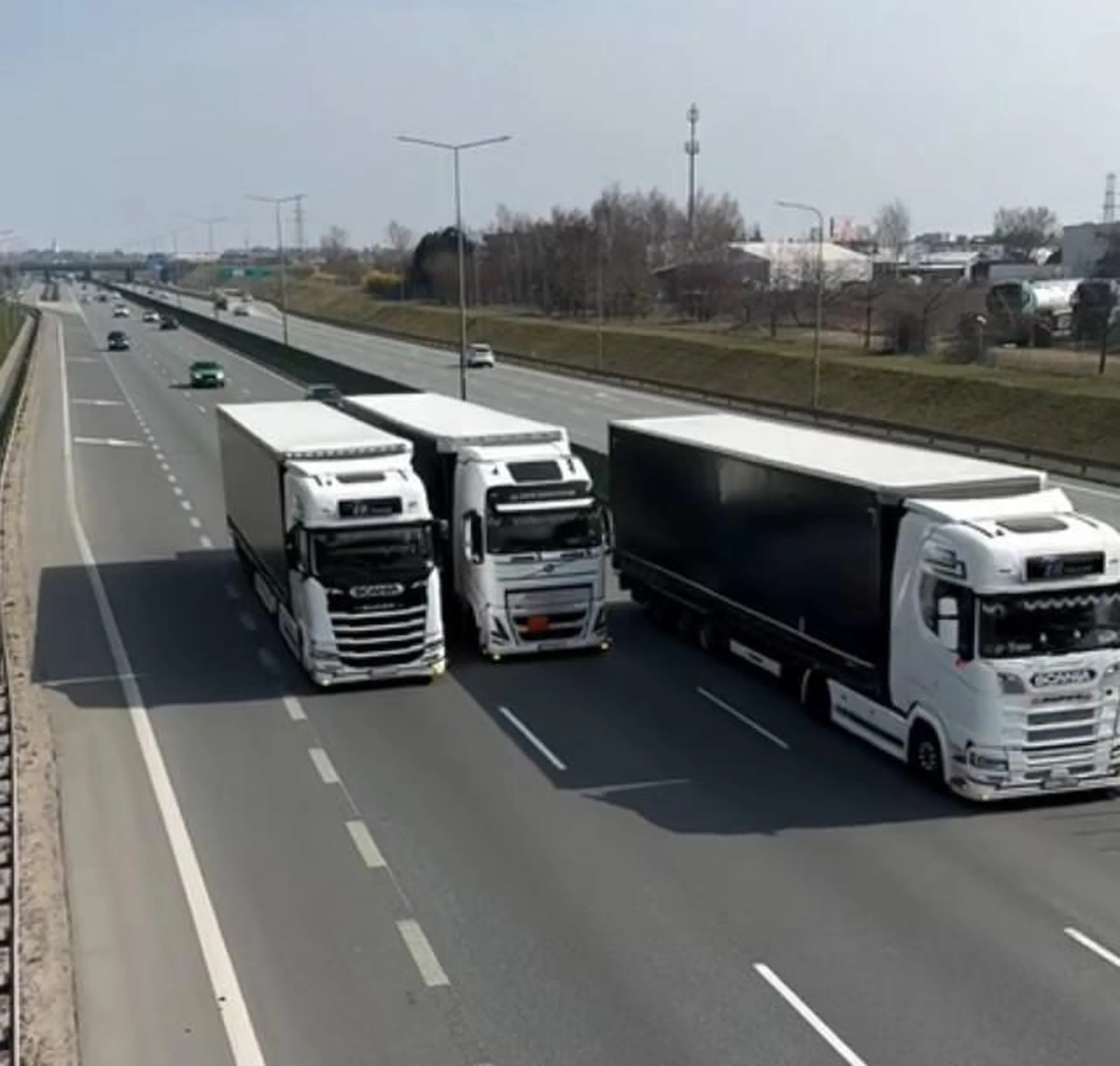 głąby bawią się w wyprzedzanie żółwim tempem, kilometrami