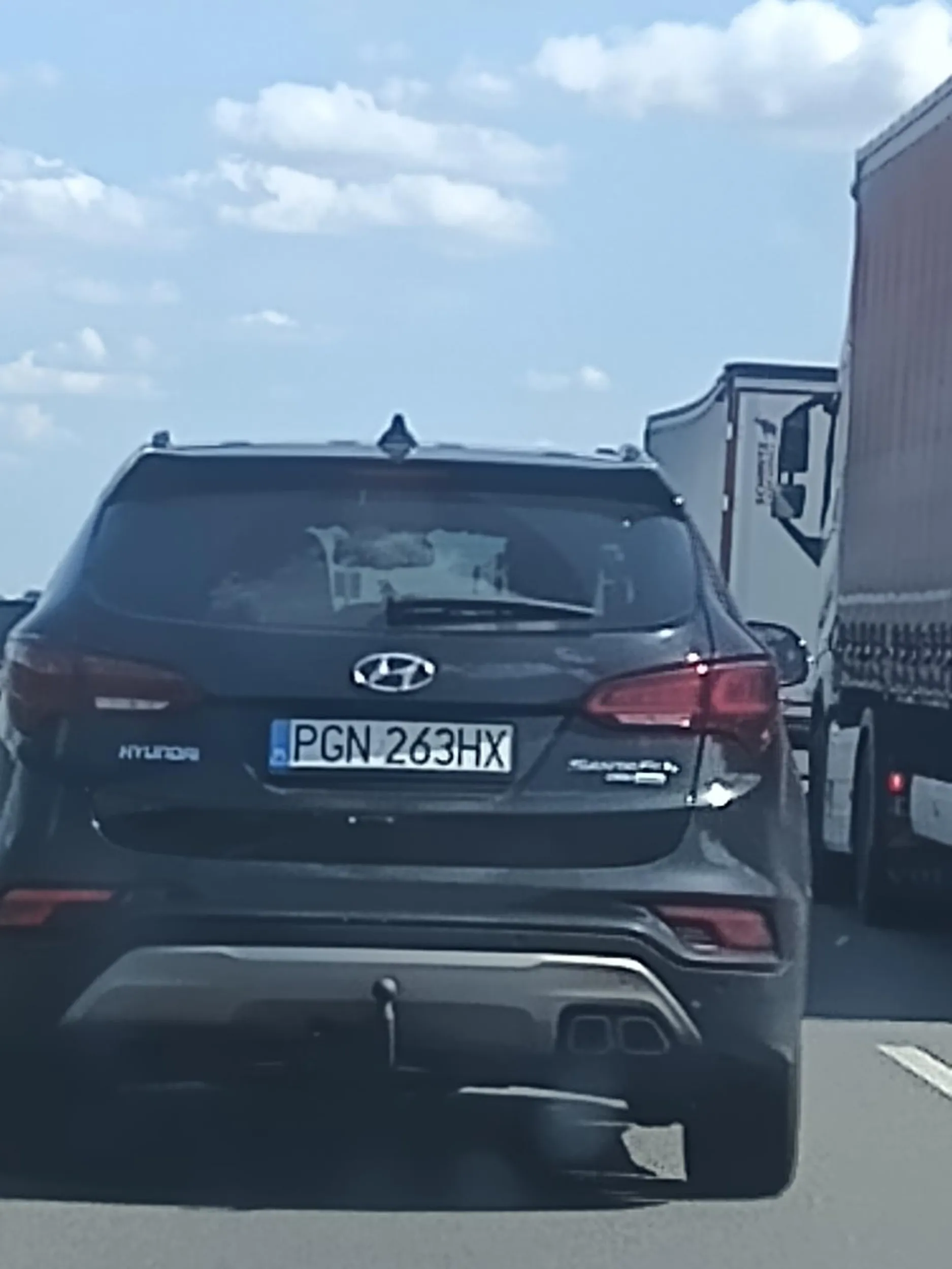 Idiotą prawo jazdy w chipsach wygrał