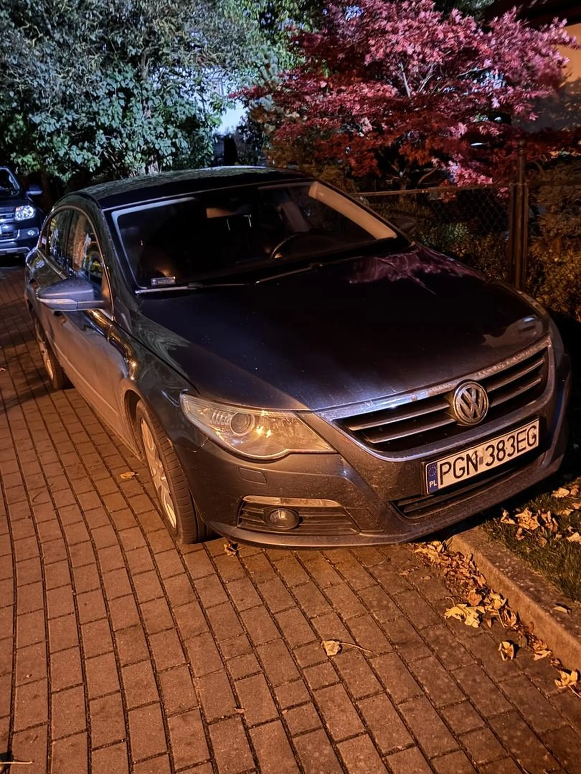 Stawanie na pasie zieleni pod czyjąś posesją jest chyba niefajne. :)