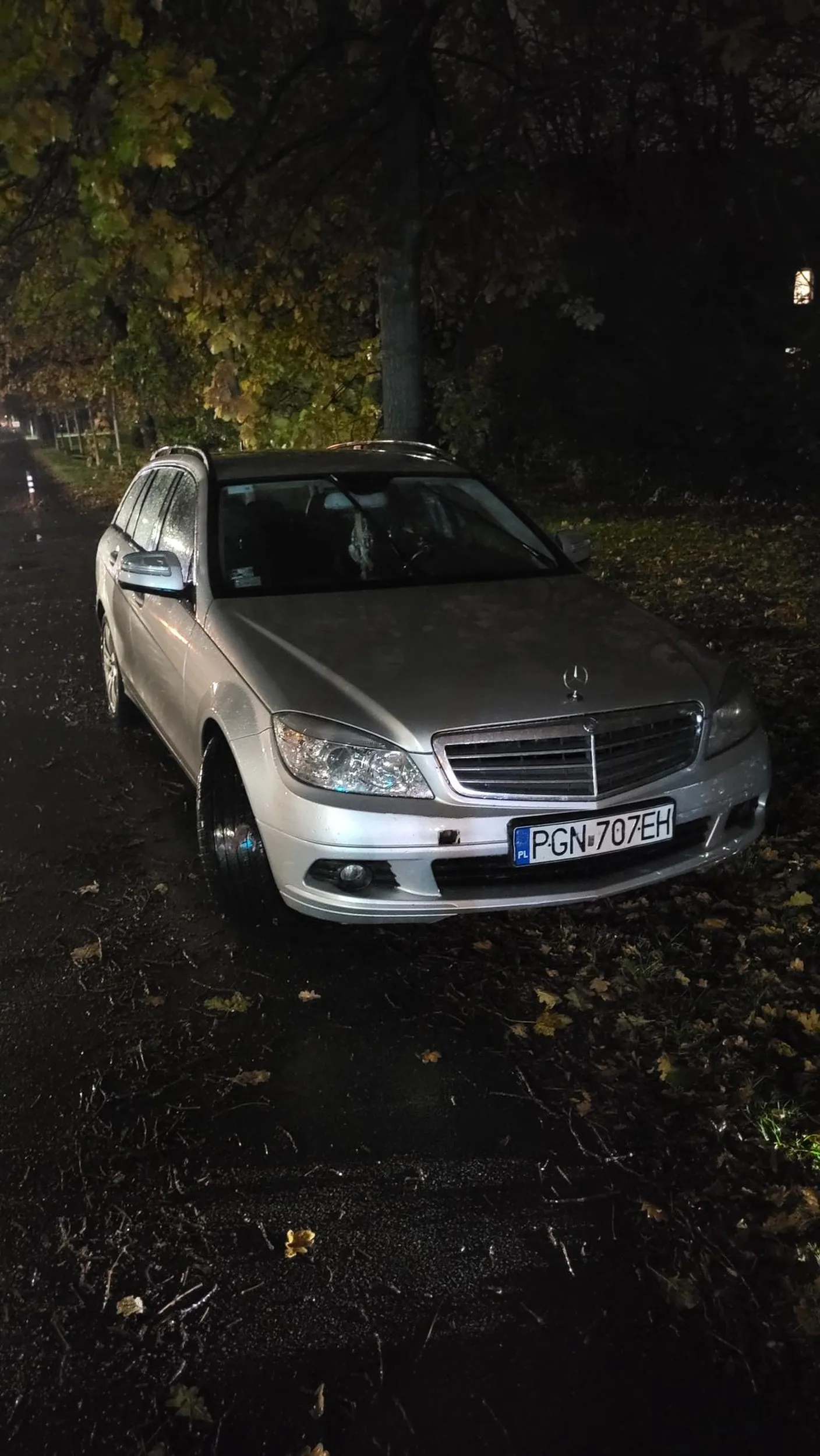 Pseudokierowca zaparkował na ścieżce rowerowej. W czasie zgłaszania go na straz miejską wrócił do samochodu i z impetem cofając prawie mnie i mojego psa by rozjechał. Uciekł po trawniku.