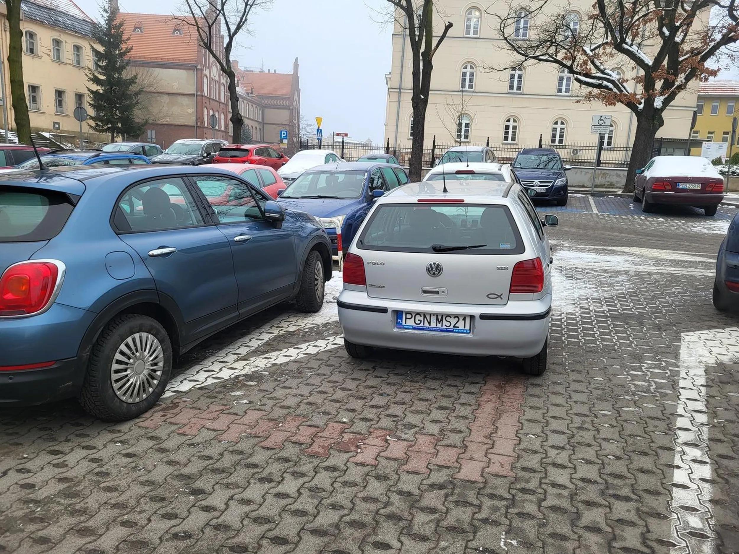 Naucz się żyć w społeczeństwie imbecylu, straż miejska powiadomiona
