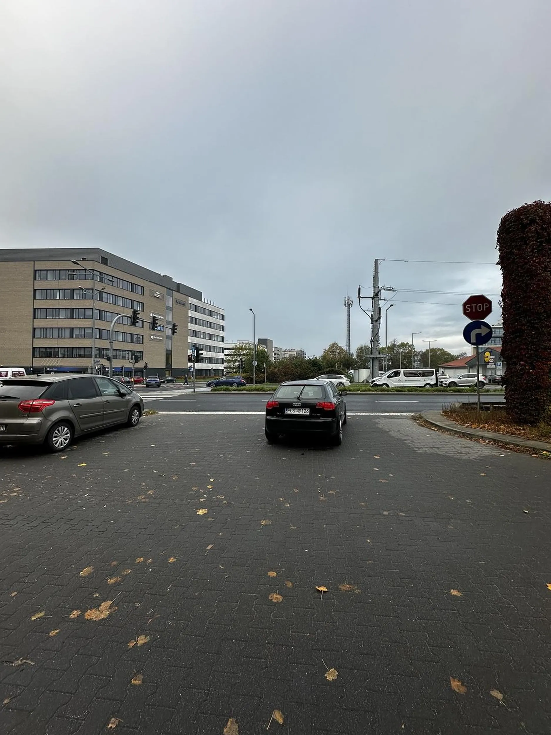 Mistrz parkowania w akcji