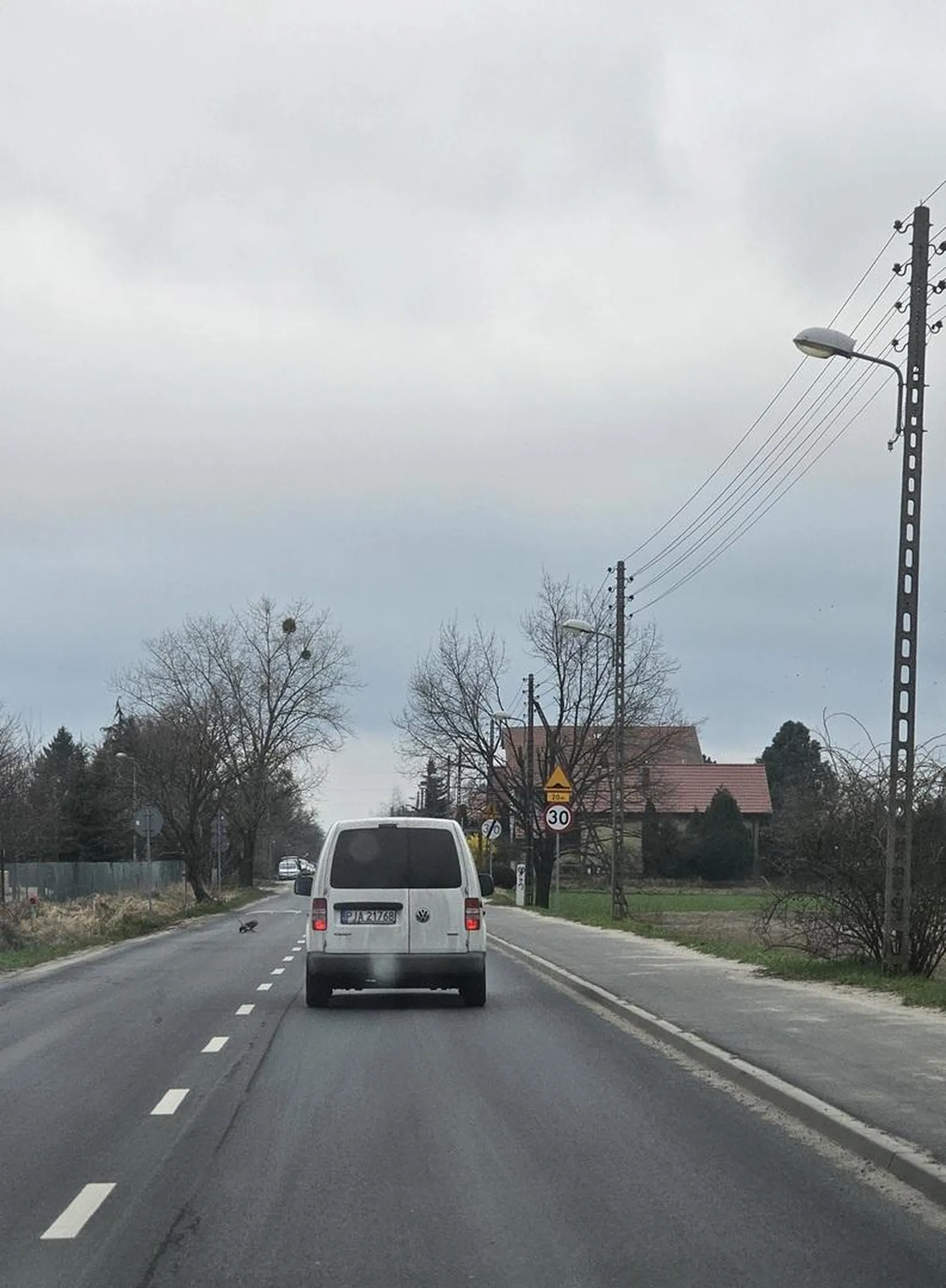 Wyprzedzanie w zabudowanym na podwójnej ciągłej, w dupie ma progi zwalniające (kolejnemu właścicielowi współczuję zawieszenia).