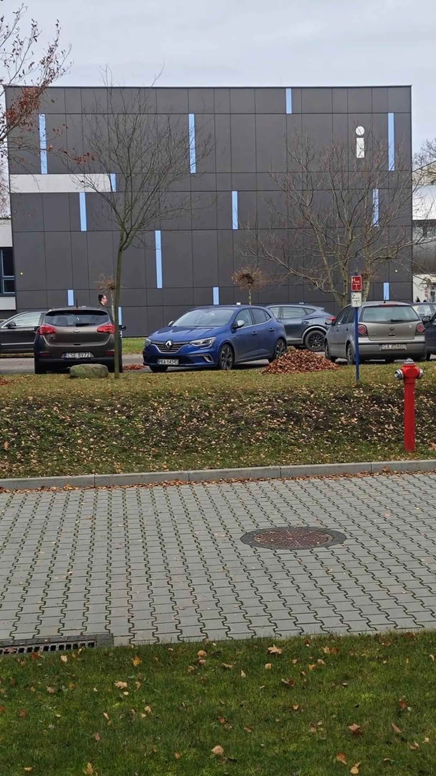 Ja w lesie muszę parkować a ten się tak rozpycha