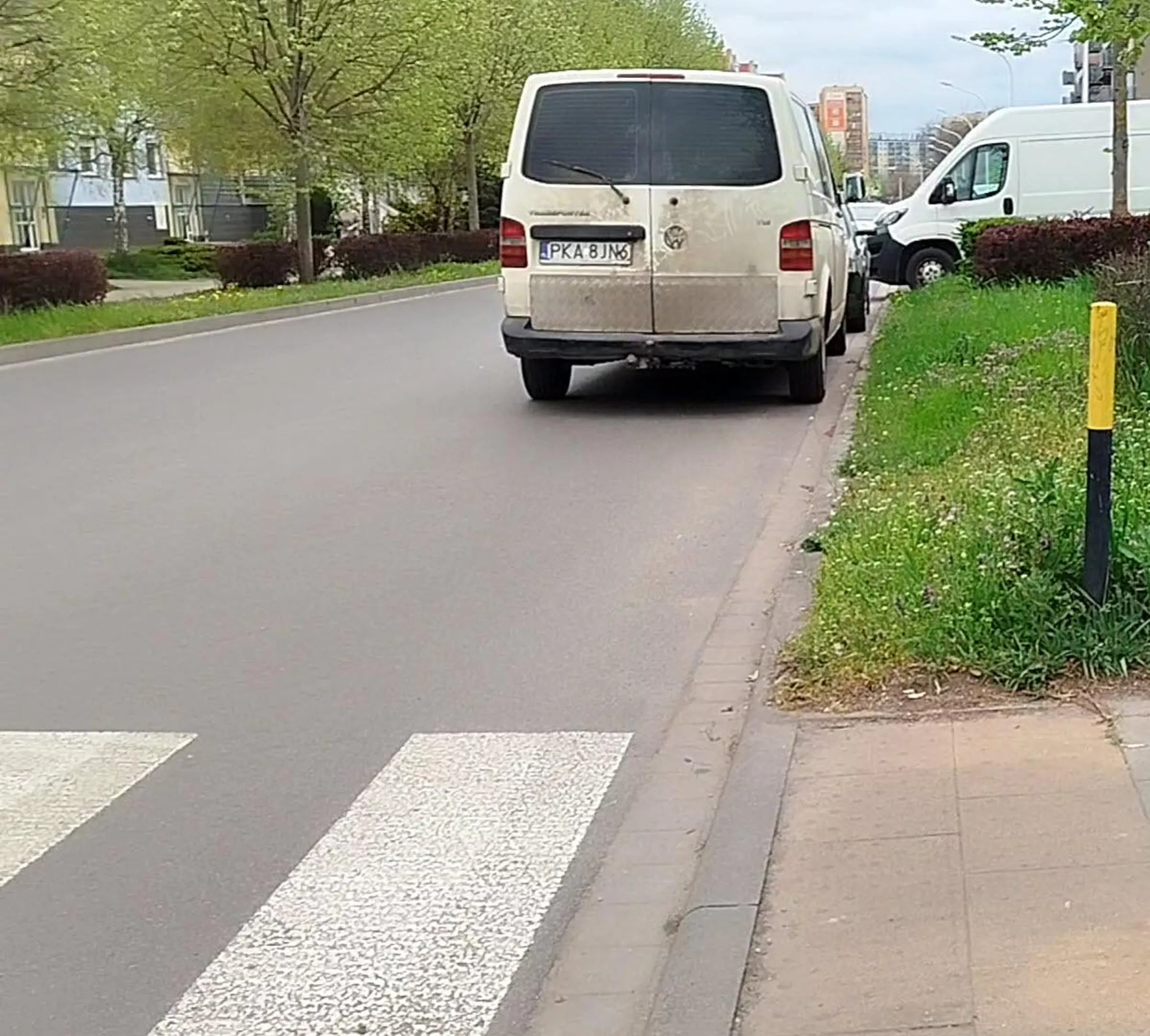 Nie jaraj tyle trawy, bo botem nie potrafisz poprawnie zaparkować.