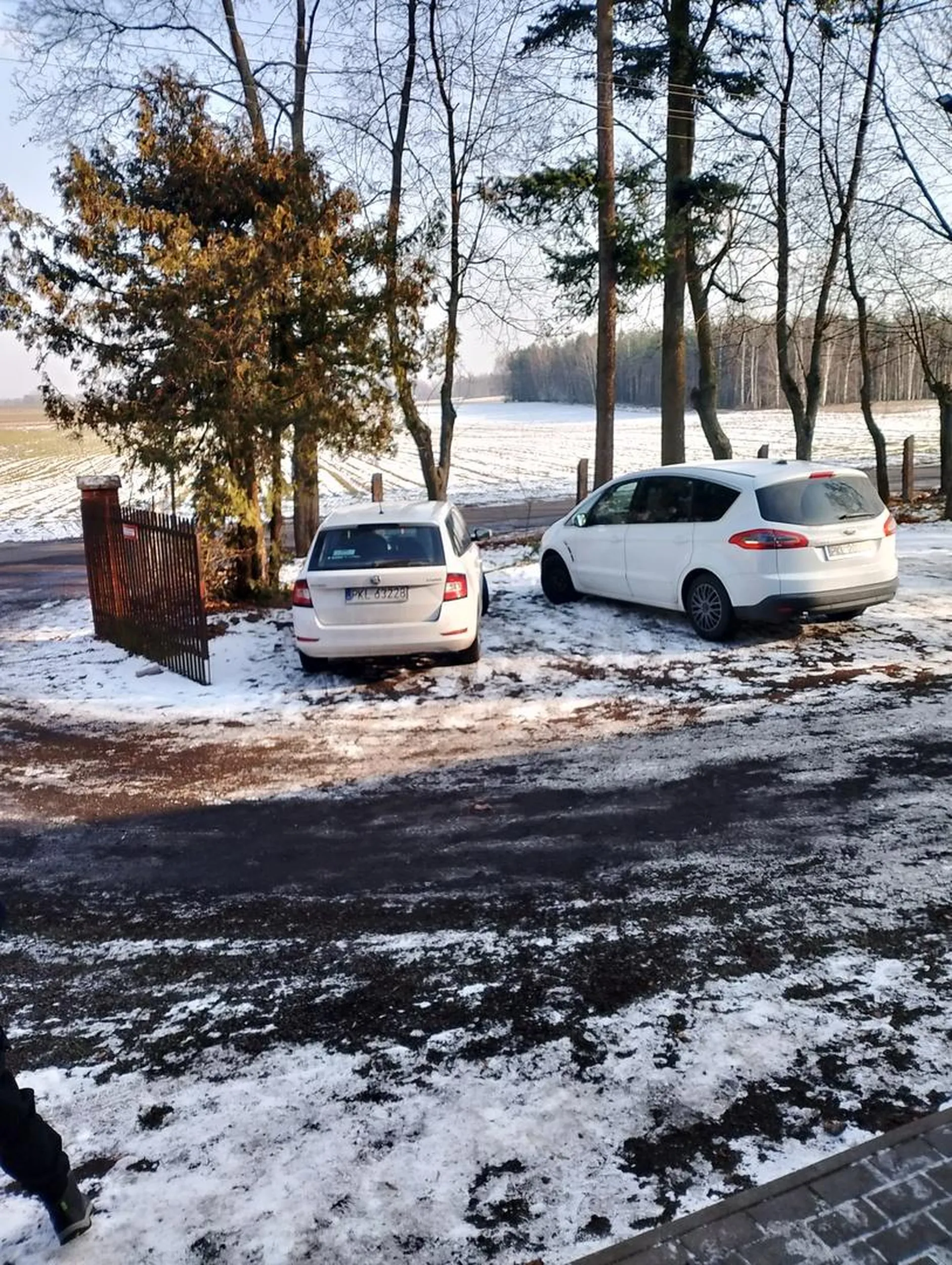 Stoi jak stara ktrwa