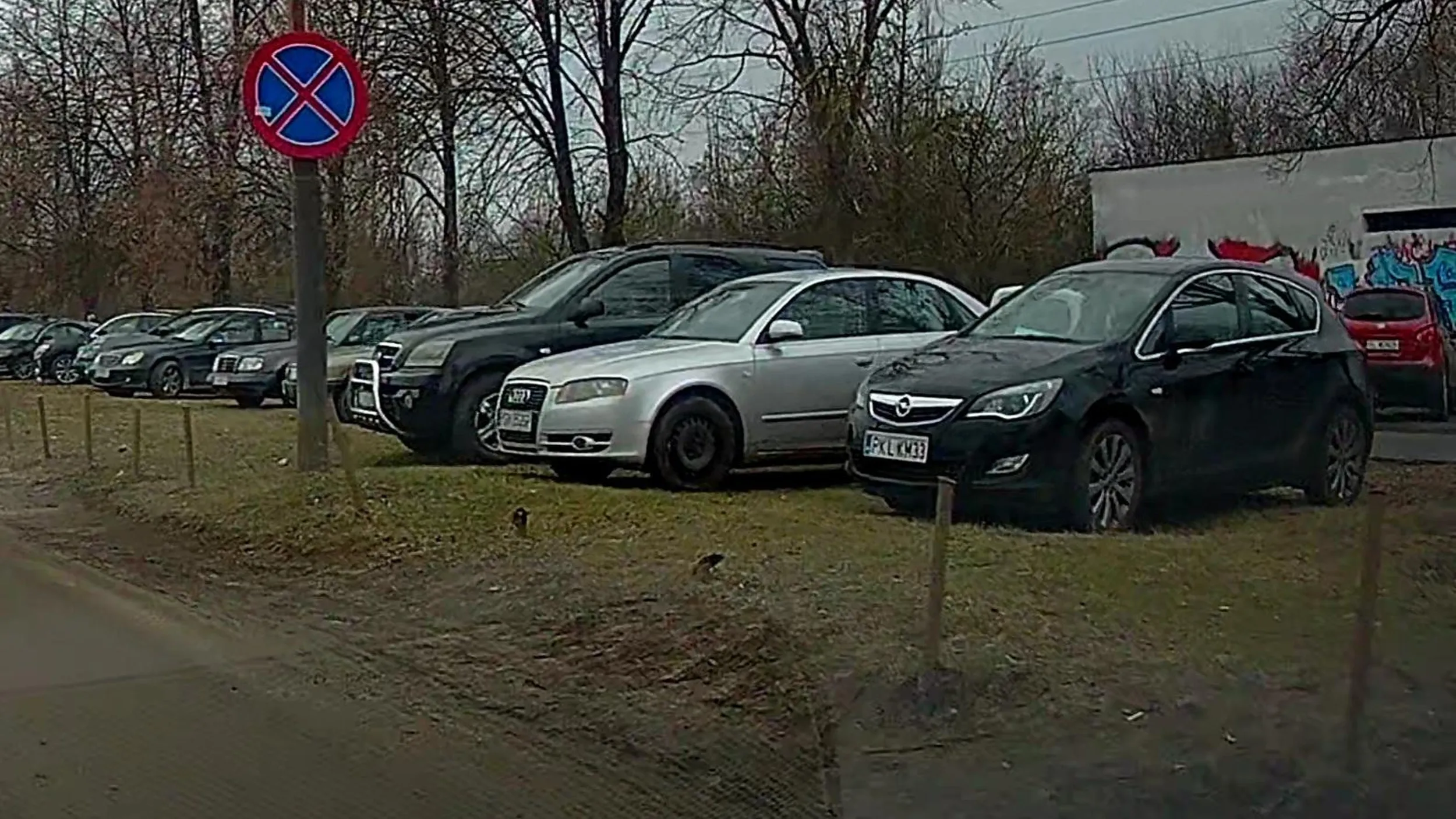 Rozjeżdża trawniki