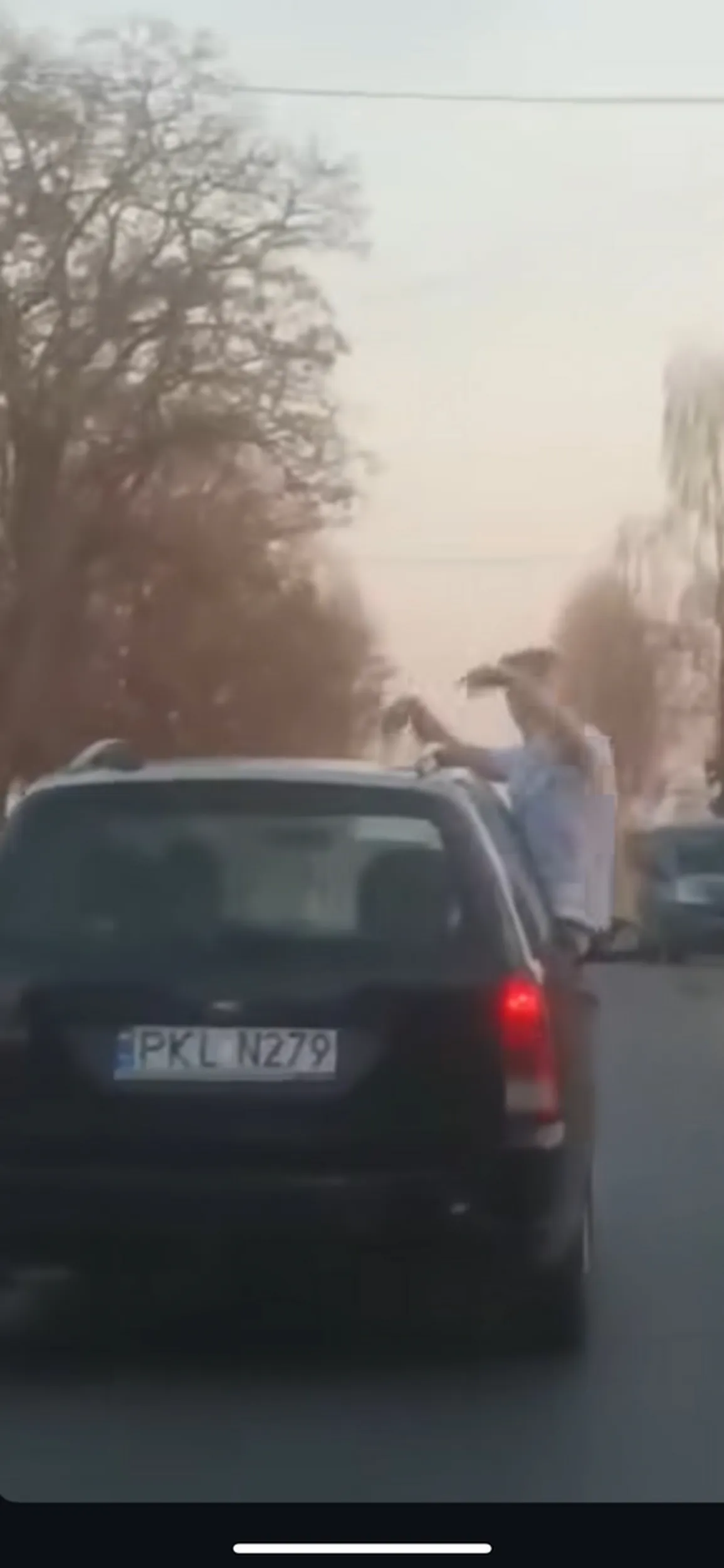 jeżdżą tym rozklekotanym fordem jak cipka pana siedzącego na szybie daniela C. (c jak cfel) nie stosują sie do przepisów wychodzą z auta na środku drogi wyciągają swoje małe przyrodzenia i krzyczą jak nie w cipe to analsko. Nie pozdrawiam pdw