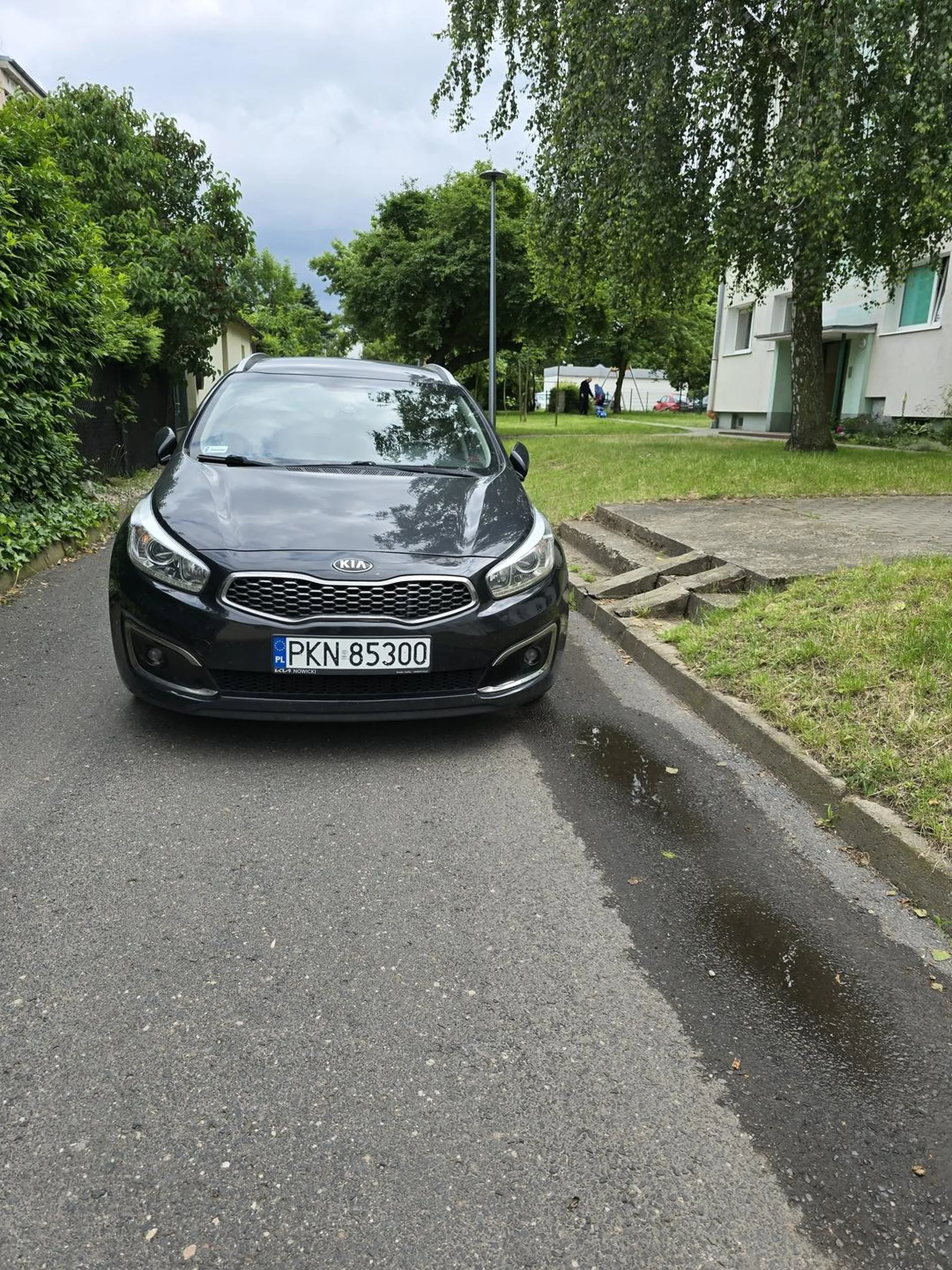 Typ stoi na środku drogi