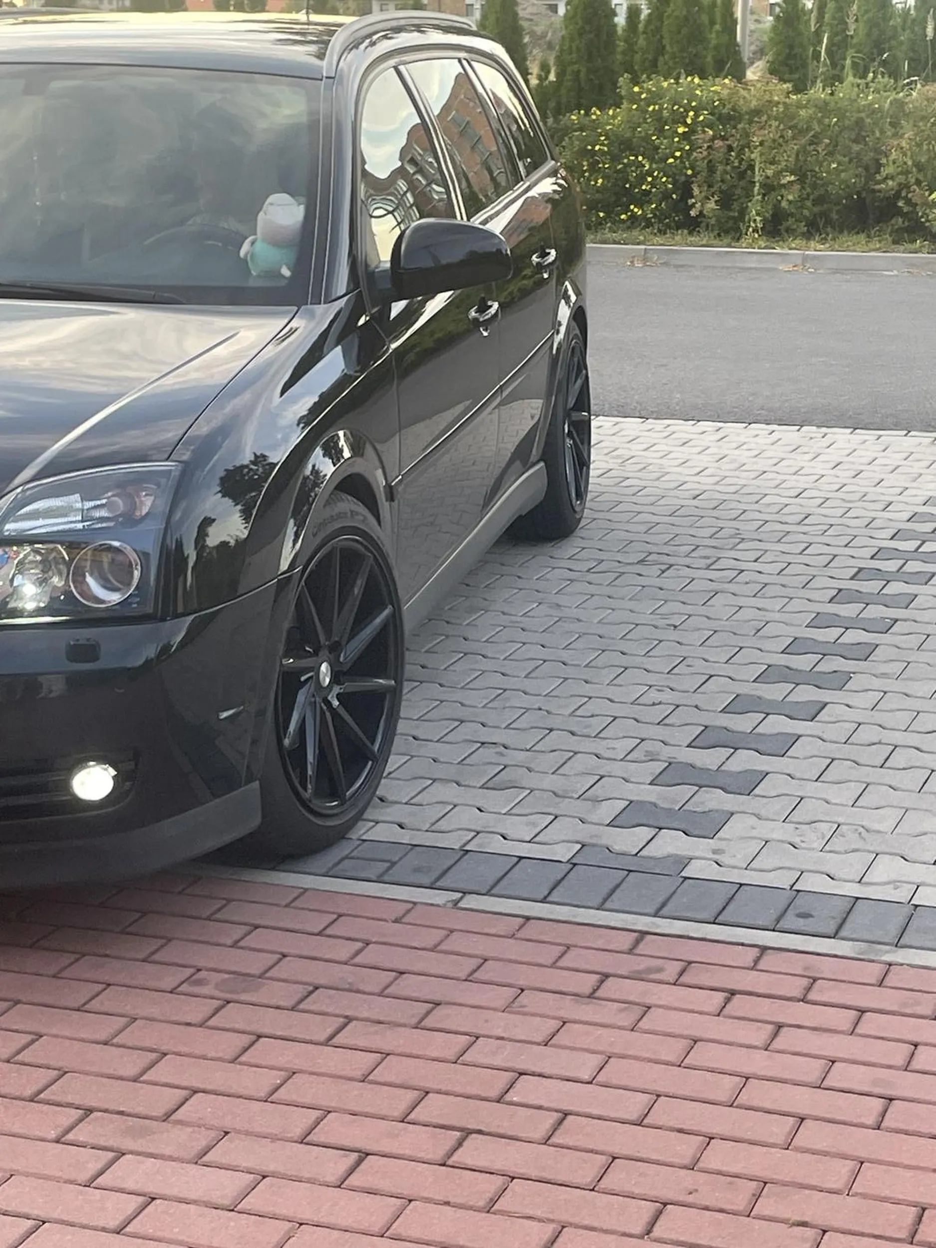 Nie potrafi parkować