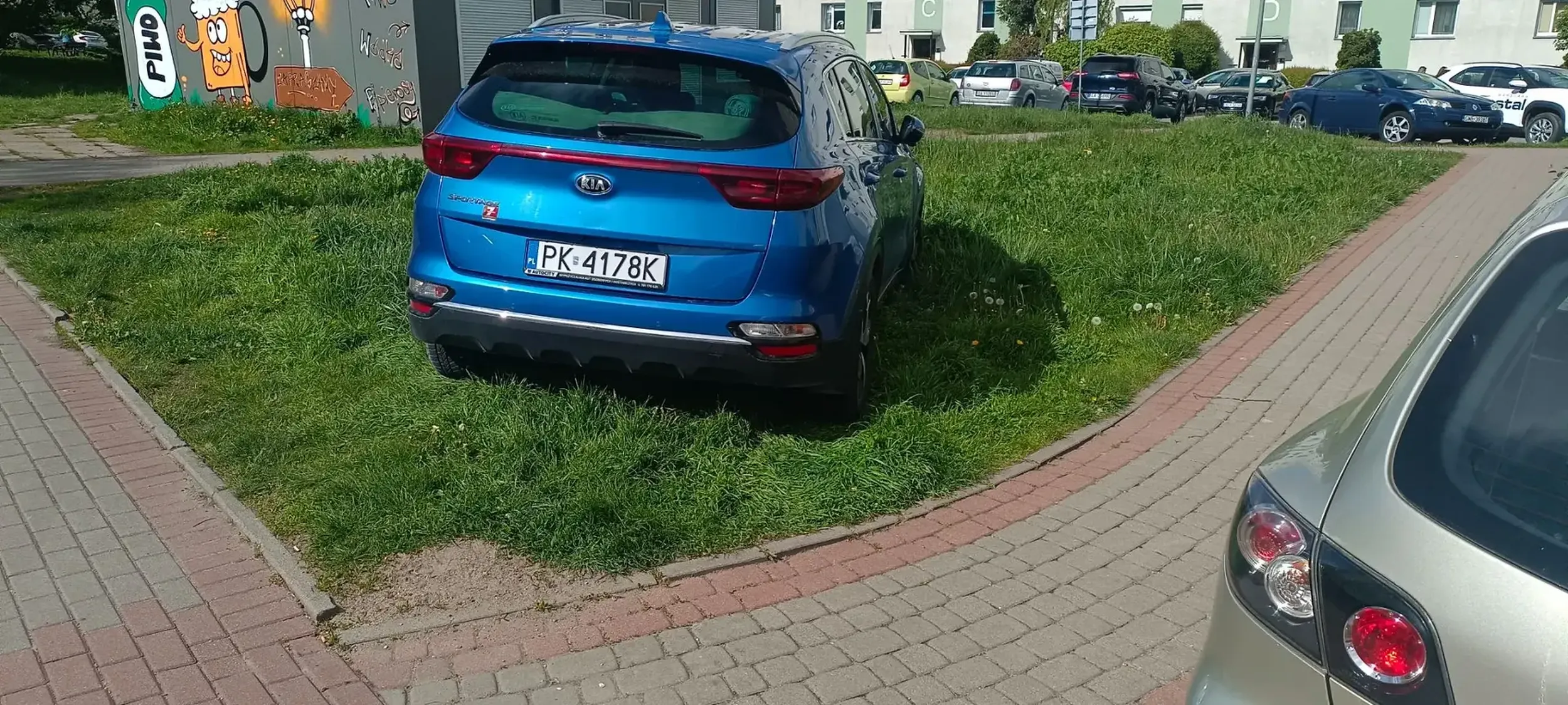 Wielkopolski burak na gościnnych występach w Trójmieście