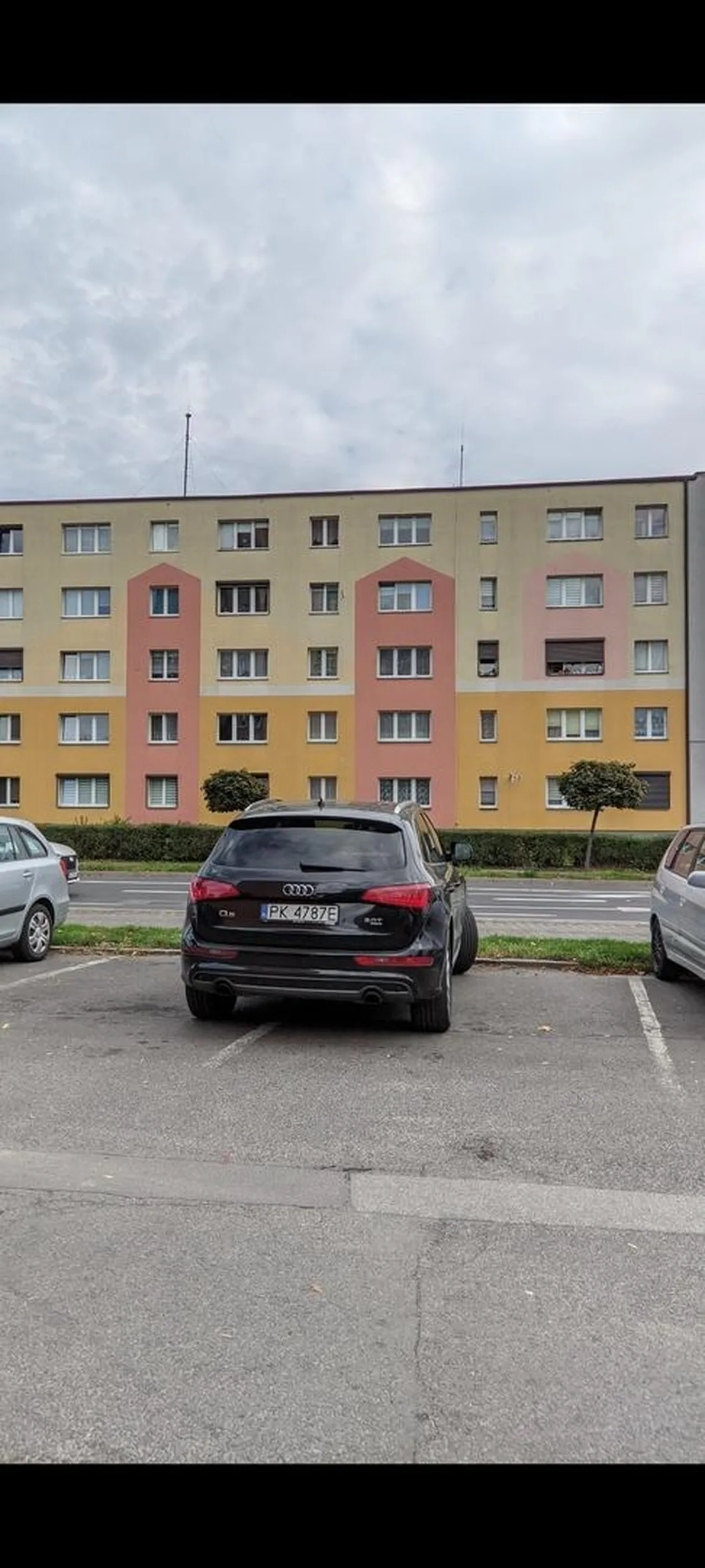 Prawo jazdy wygrane w chipsach