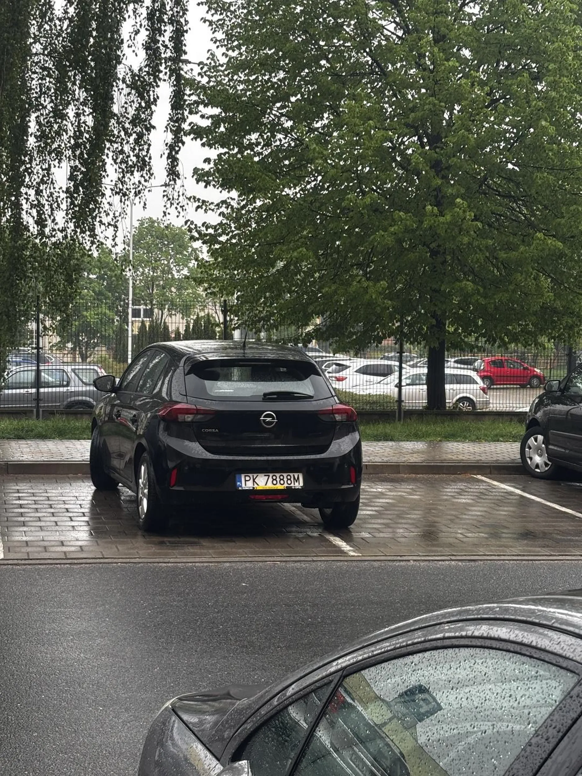 Stawaj krzywo ale chociaż w liniach