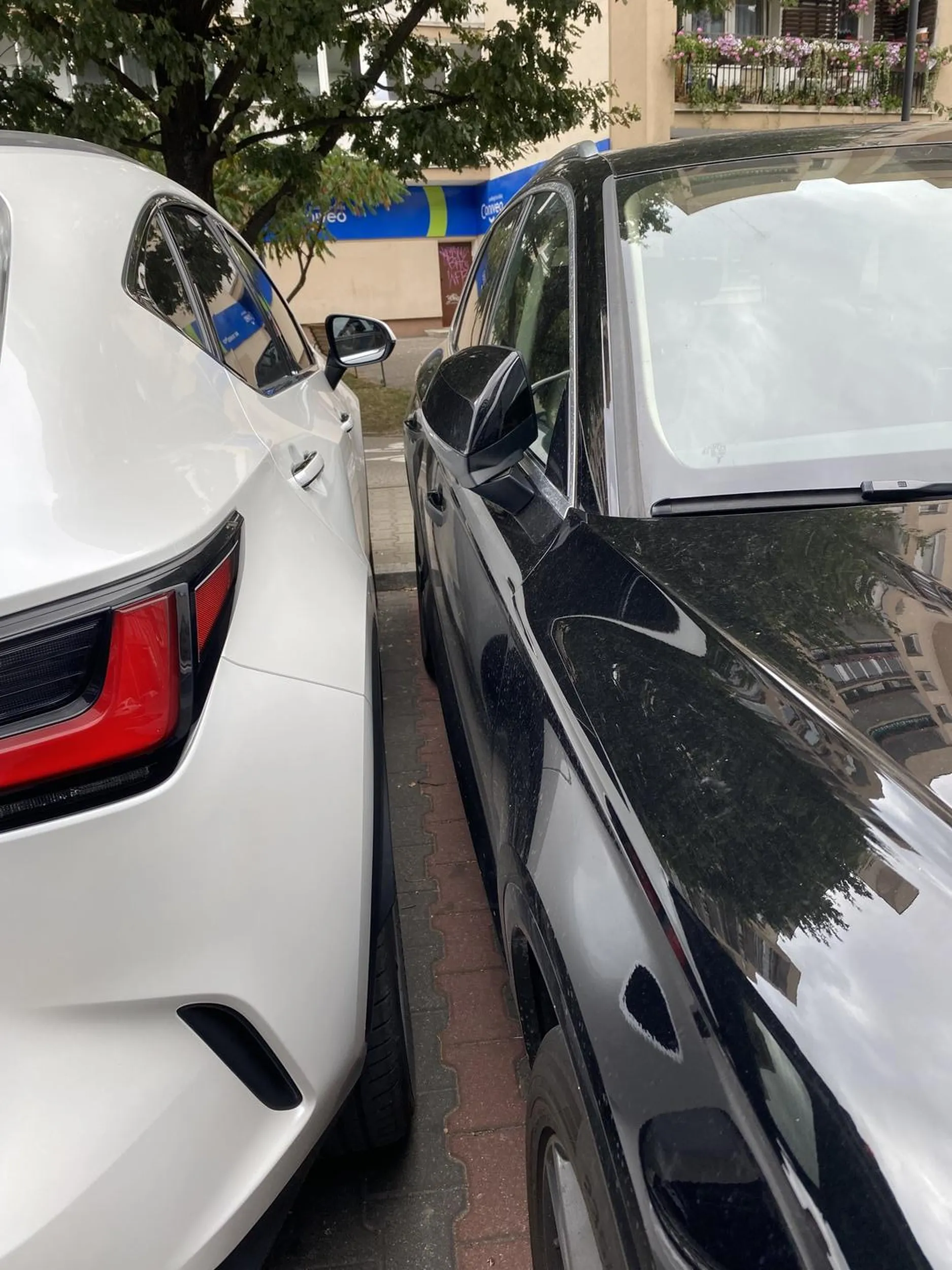 Mistrz kierownicy, myśle, że bliżej zaparkować się nie dało. Wysiadł z auta i jeszcze się pluł. Kultury, wychowania i włosów ewidentnie tu brakuje. Zamiast przeprosić, wyjechać i nas wpuścić, miał jeszcze pretensje