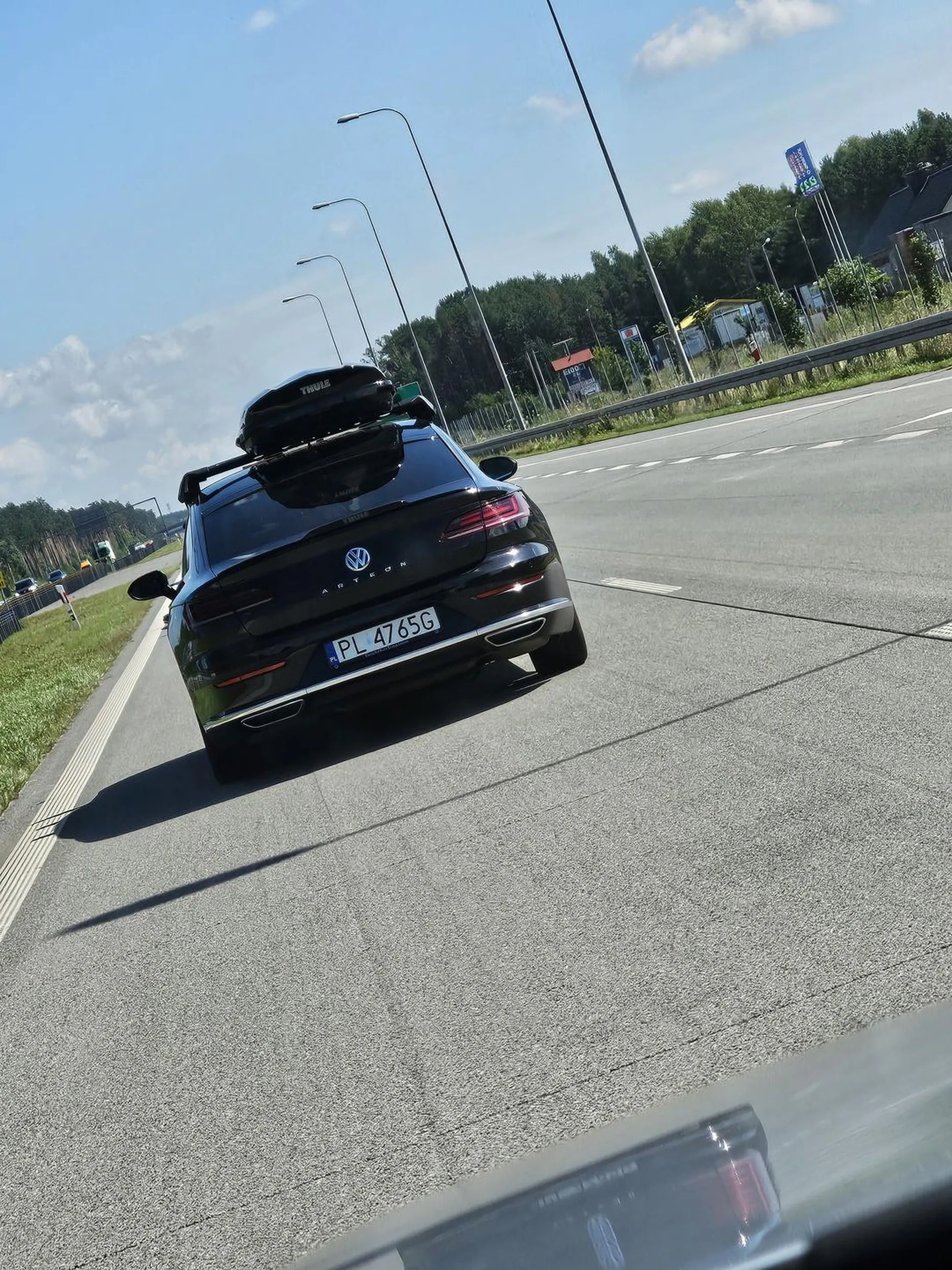 Baran stwarzający zagrożenie na autostradzie.