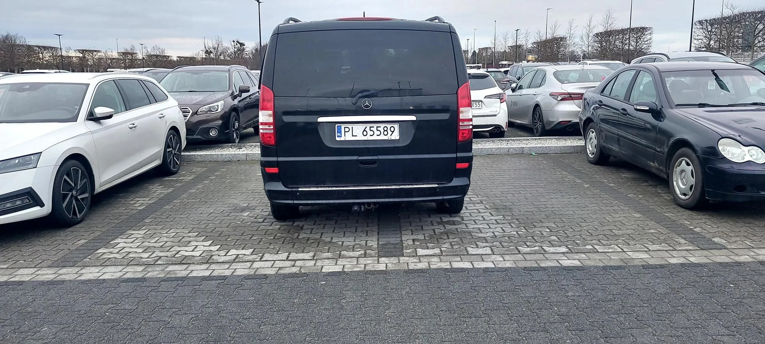 Trzeba mieć niezwykle rozwinięty obszar mózgu odpowiedzialny za logiczne myślenie, żeby tak zaparkować samochód