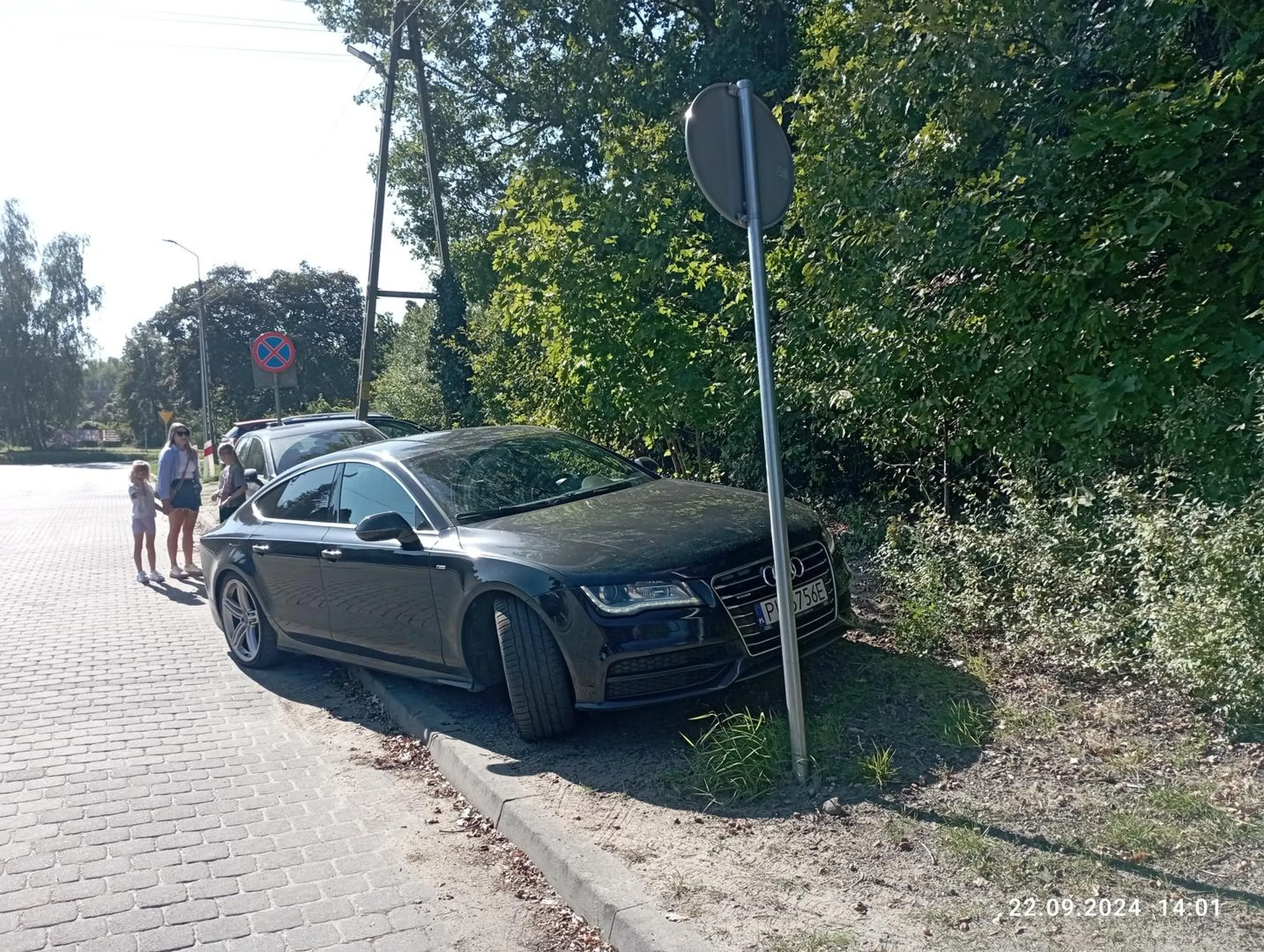 Biedak,nie stać go na parking i po krzakach staje.