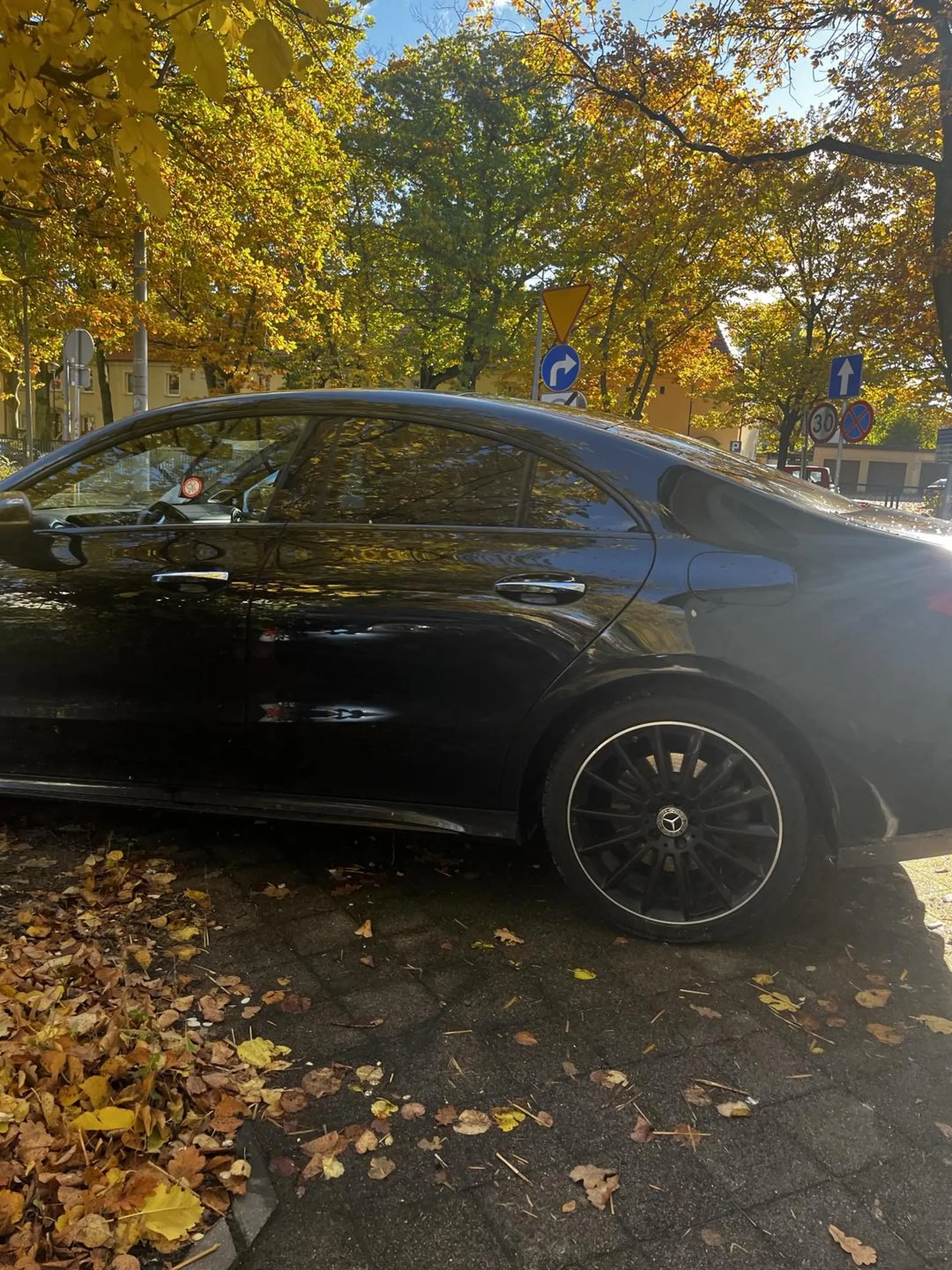 Cwoku naucz się parkować siano masz ale mózgu nie