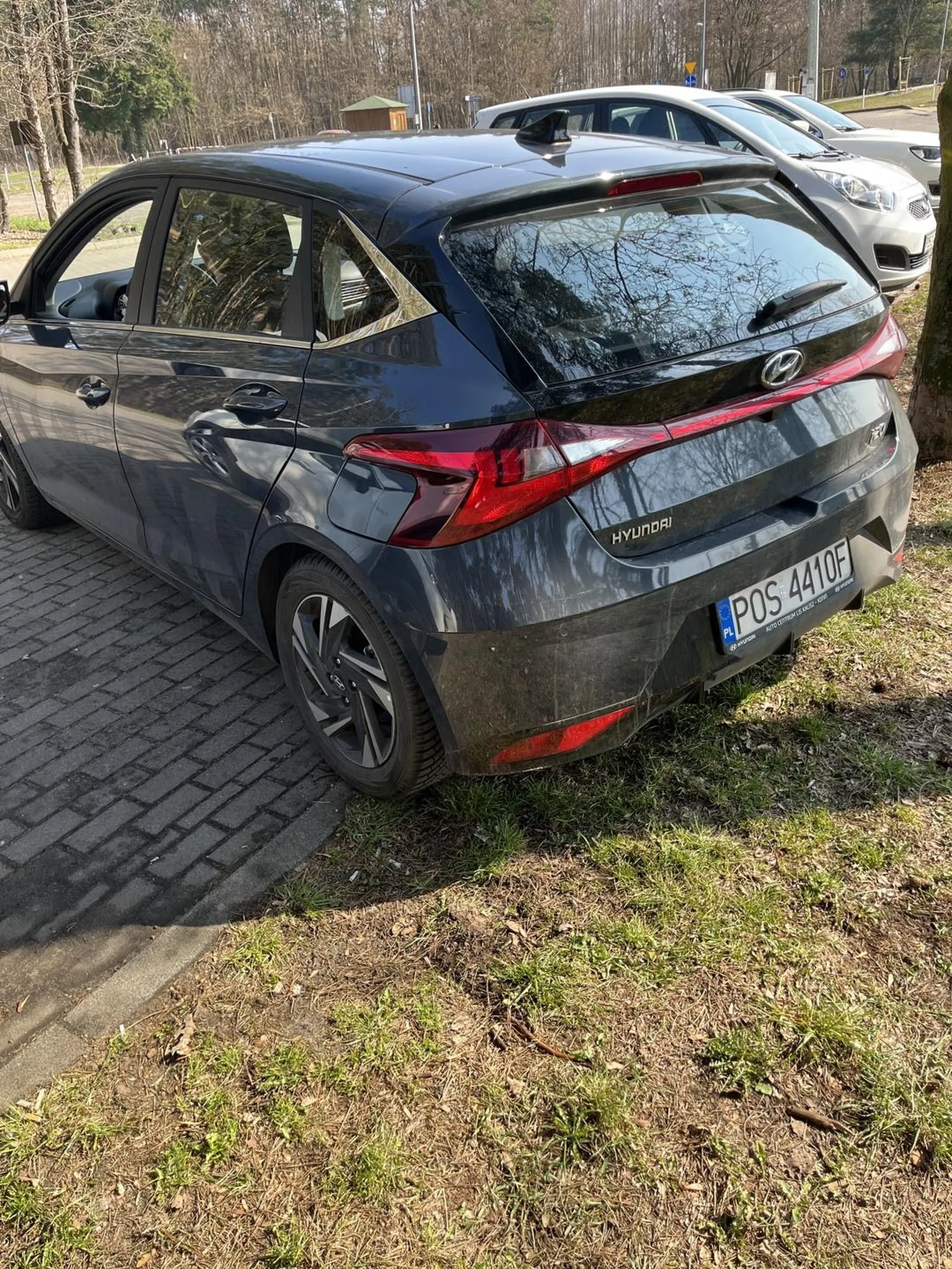 Kierowca zaparkował na trawie poczym wysladlo z samochodu dwóch eleganckich mężczyzn z ochroniarzem i poszli sikac do lasu a ochroniarz stal na czatach