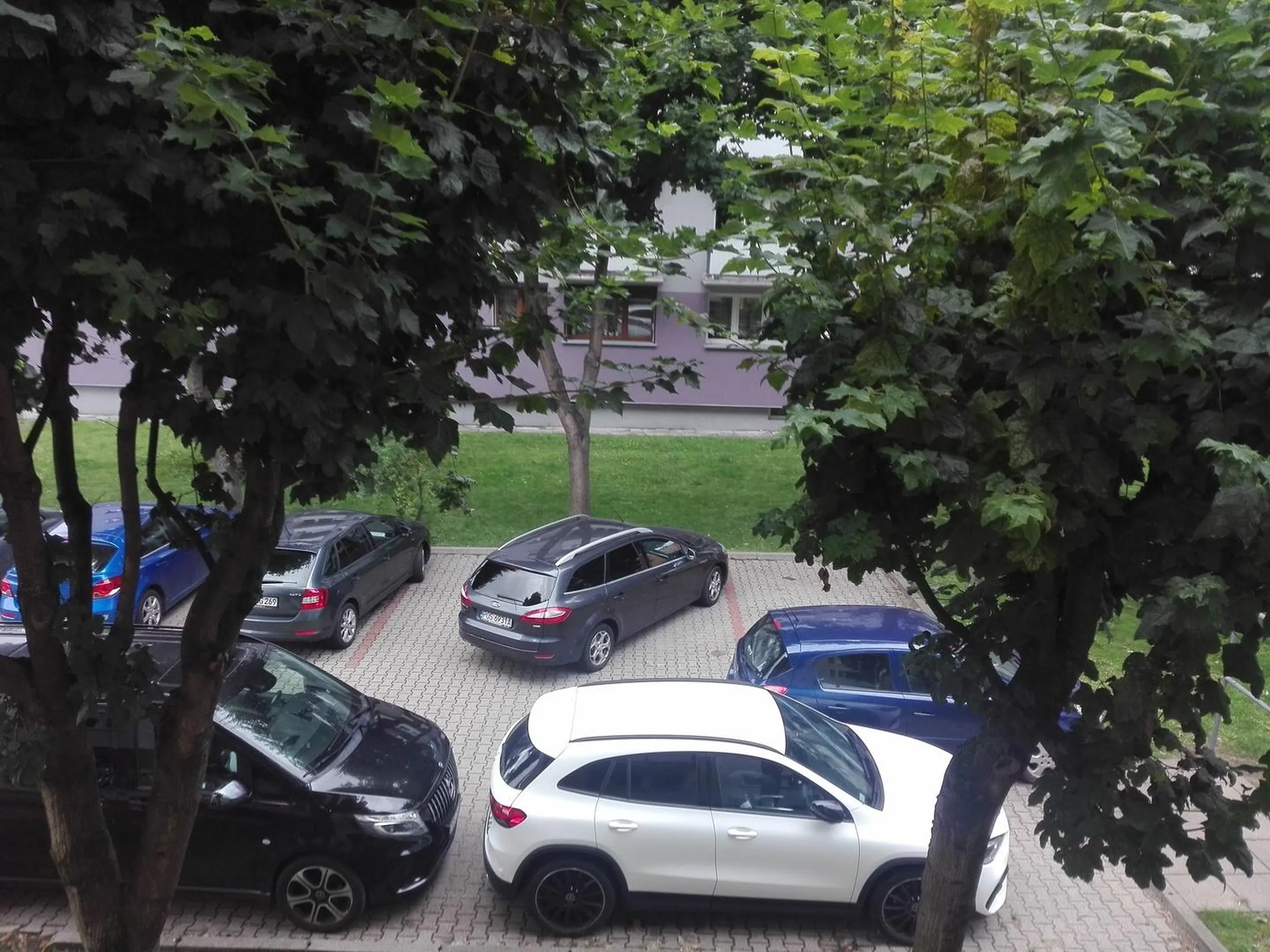 Parkuje sierota jakby była sama