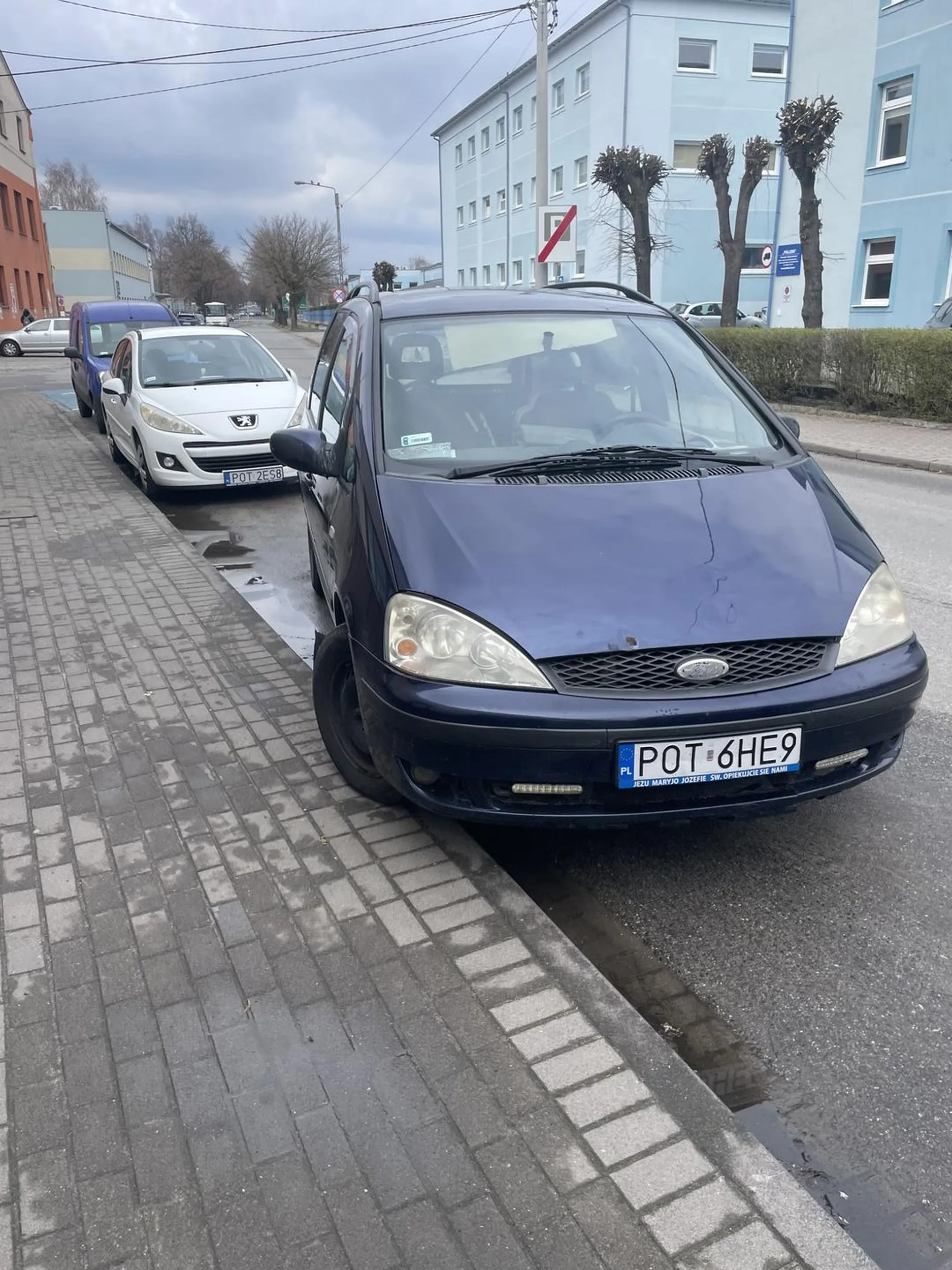 naucz sie parkowac lysa palo