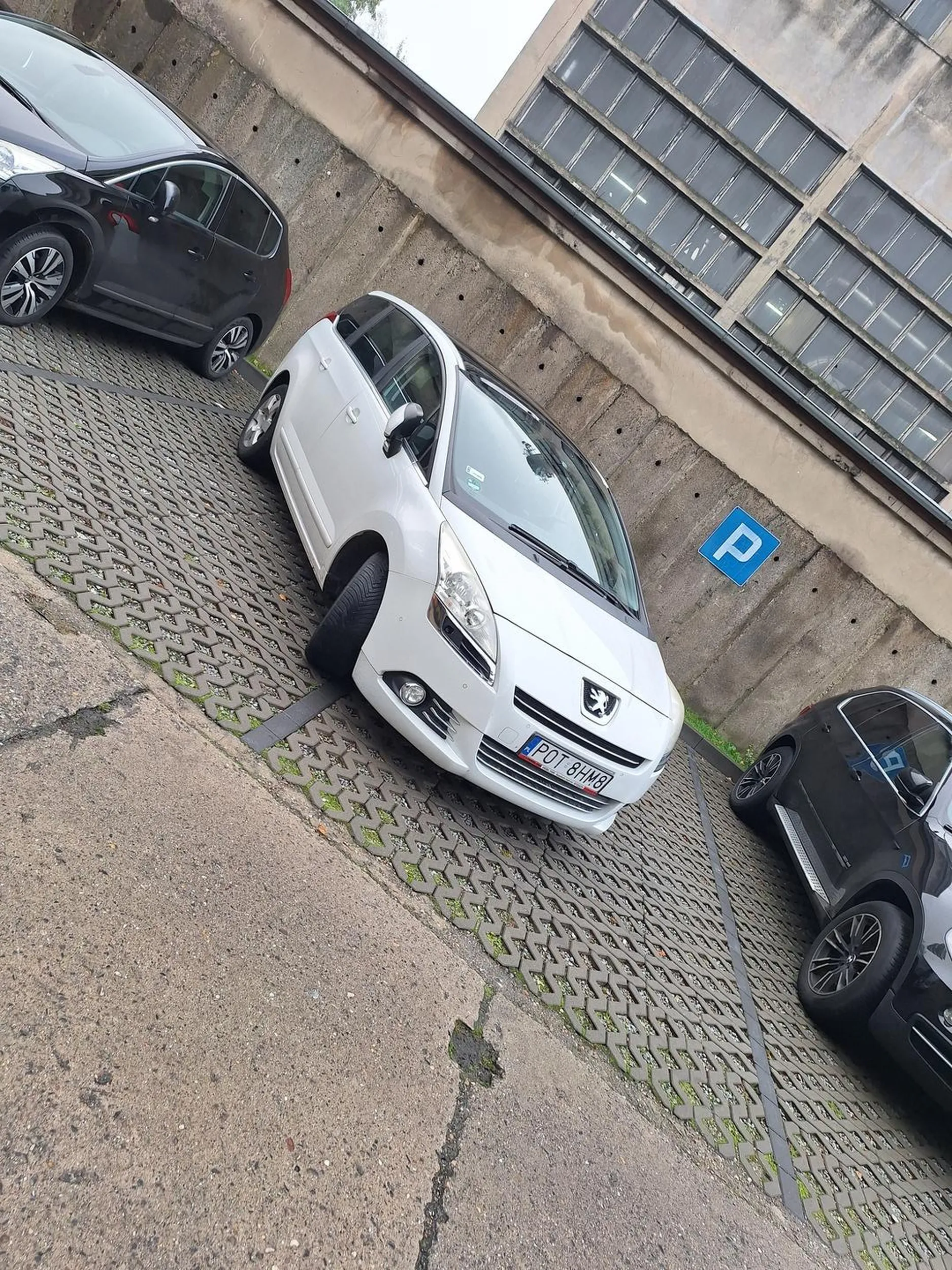 Brak umiejętności  w parkowaniu Widać że kierowca peugeota