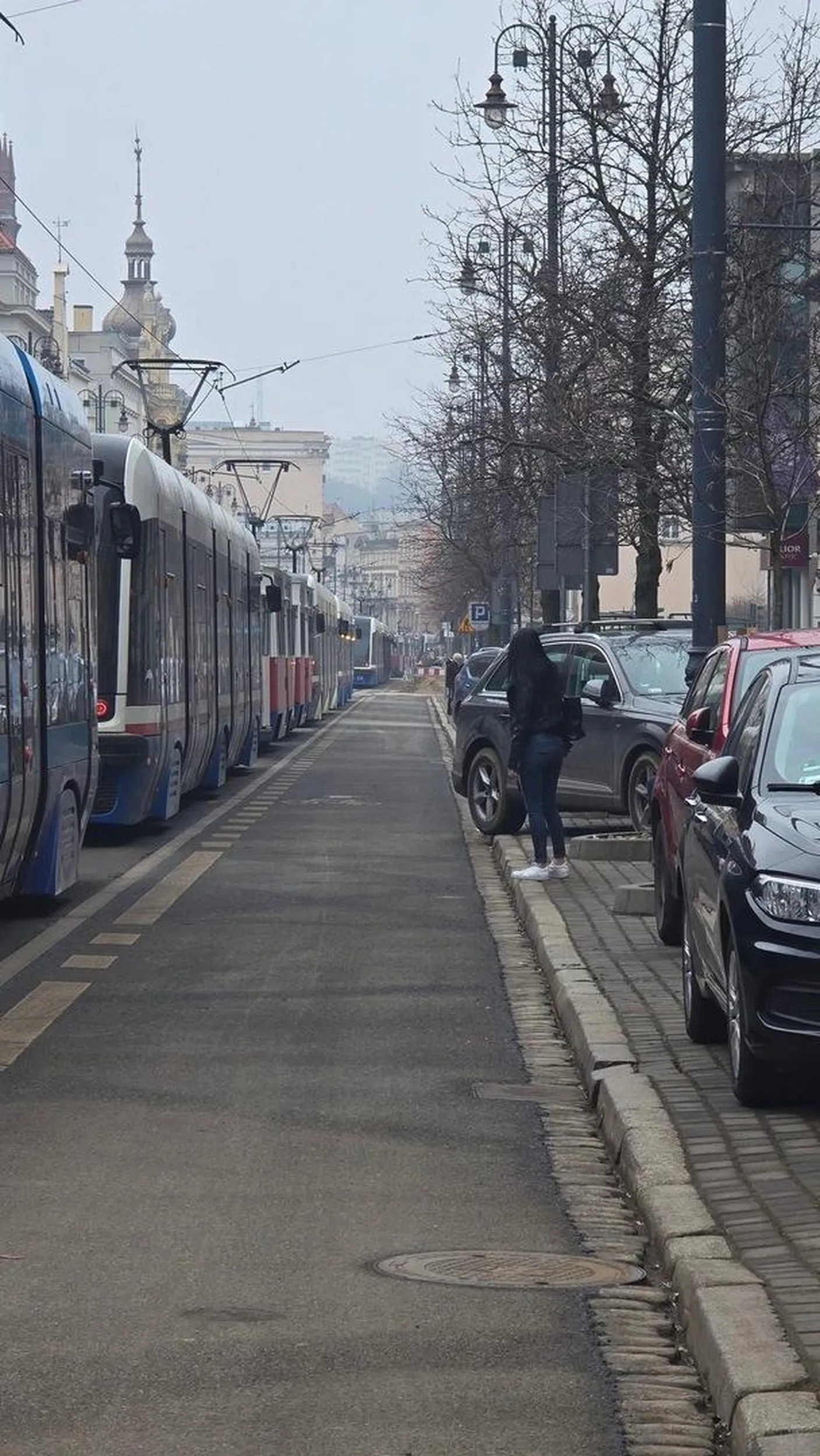 Kretyn sparaliżował całą Bydgoszcz