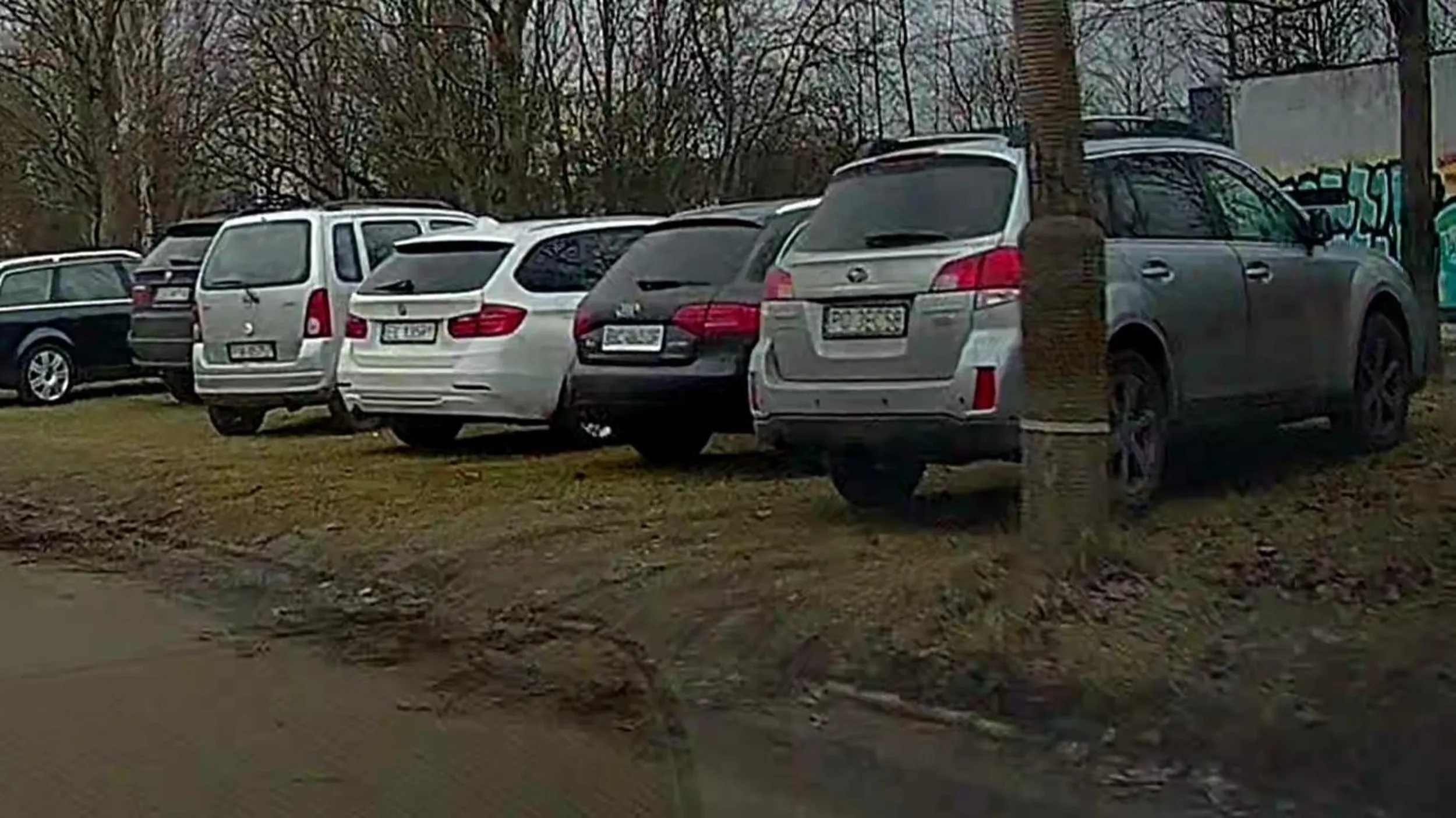 Rozjeżdża trawniki w Łodzi