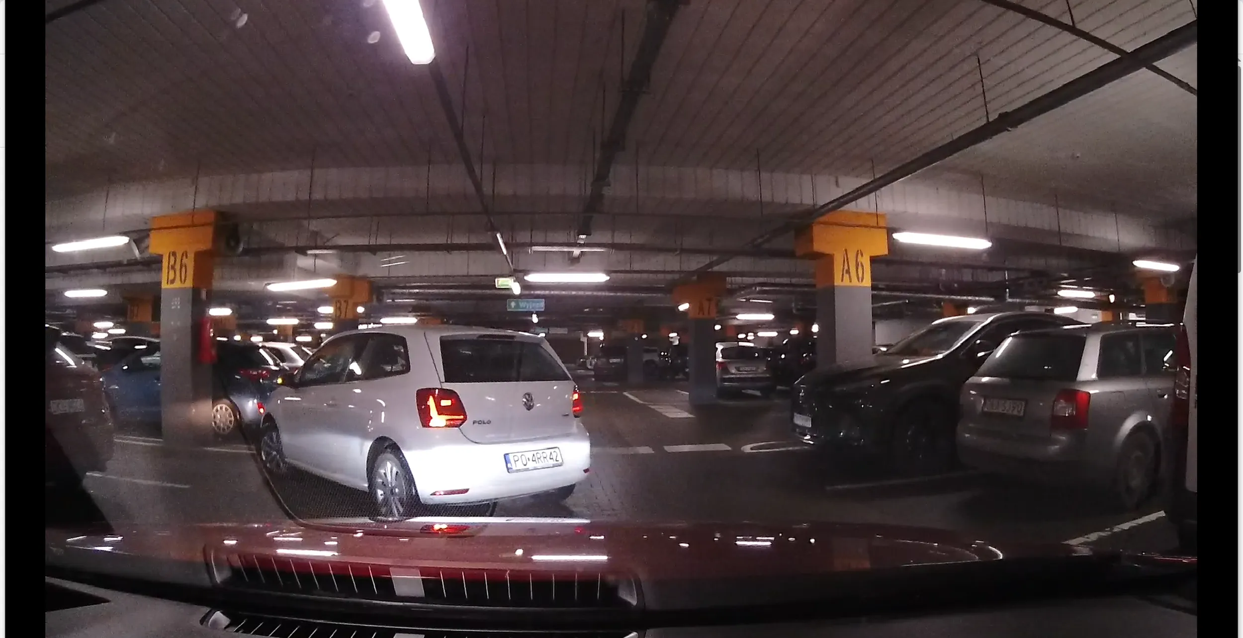 Uwaga na goscia bo gania samochody po parkingach