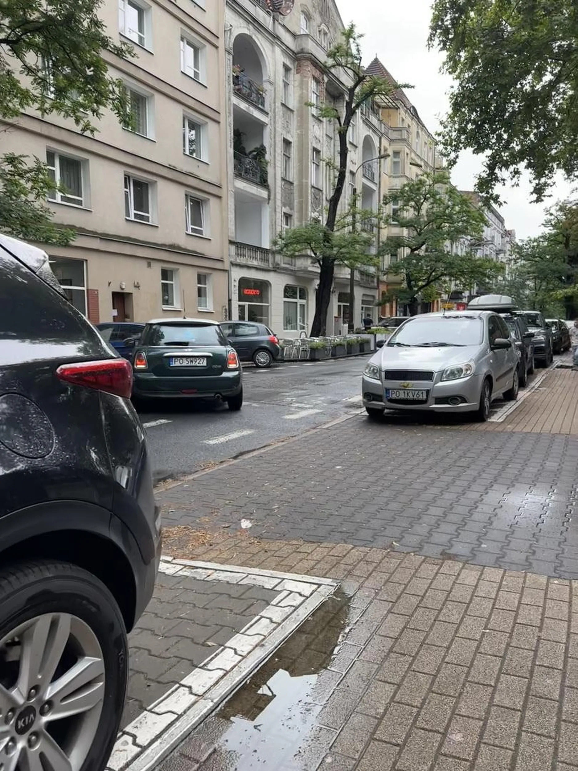 Istny geniusz! Pani wjechała pod prąd w jednokierunkowy odcinek ulicy Szamarzewskiego w Poznaniu. Nie reagowała na prośby kierowców, by się wycofać, zamiast tego oczekiwała, że inni będą jej ustępować.