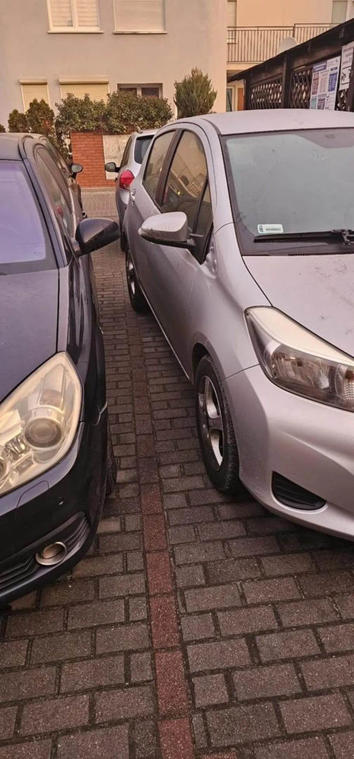 Parkowanie to dla tej pani ciężka sprawa .