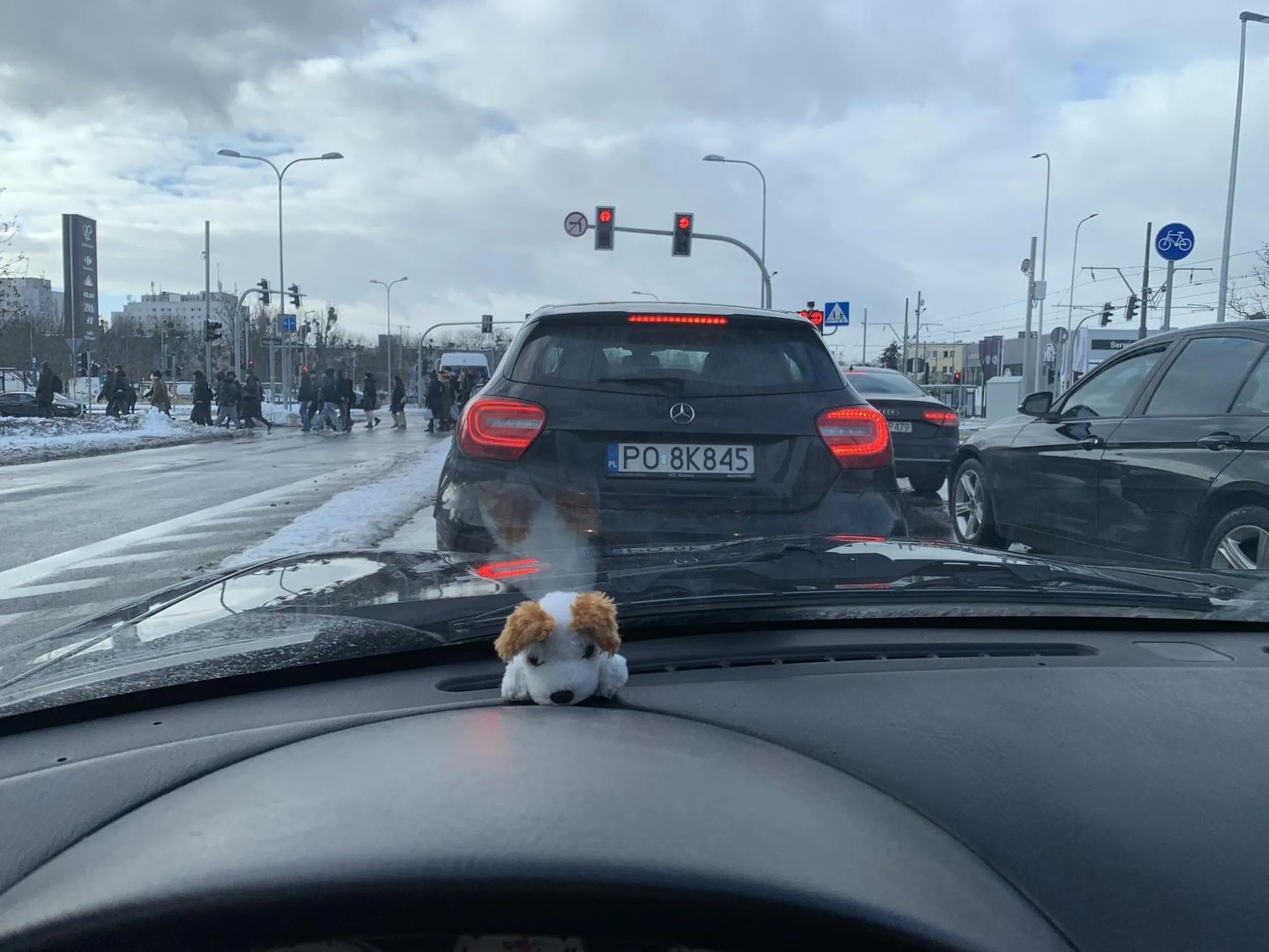 Drze ryja z otwartym