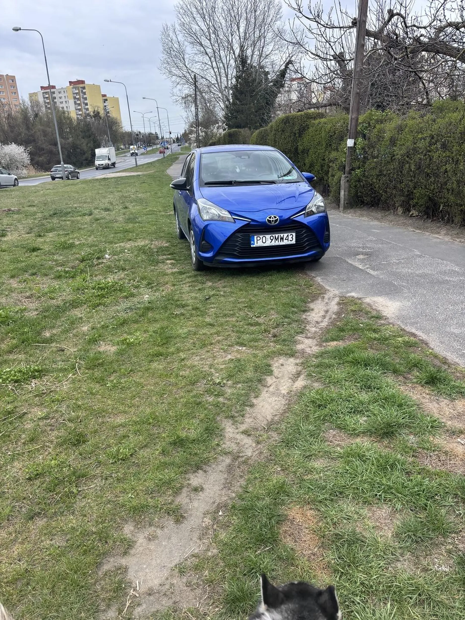 Widzę że wprawa w parkowaniu na chodnikach trzecia taka akcja