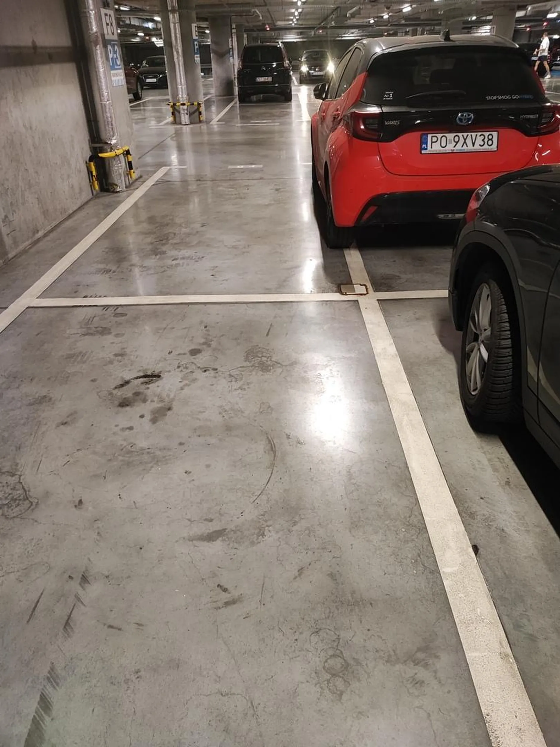 Polska trudna jezyk, linia prosta rzecz. W nagrode naklejka