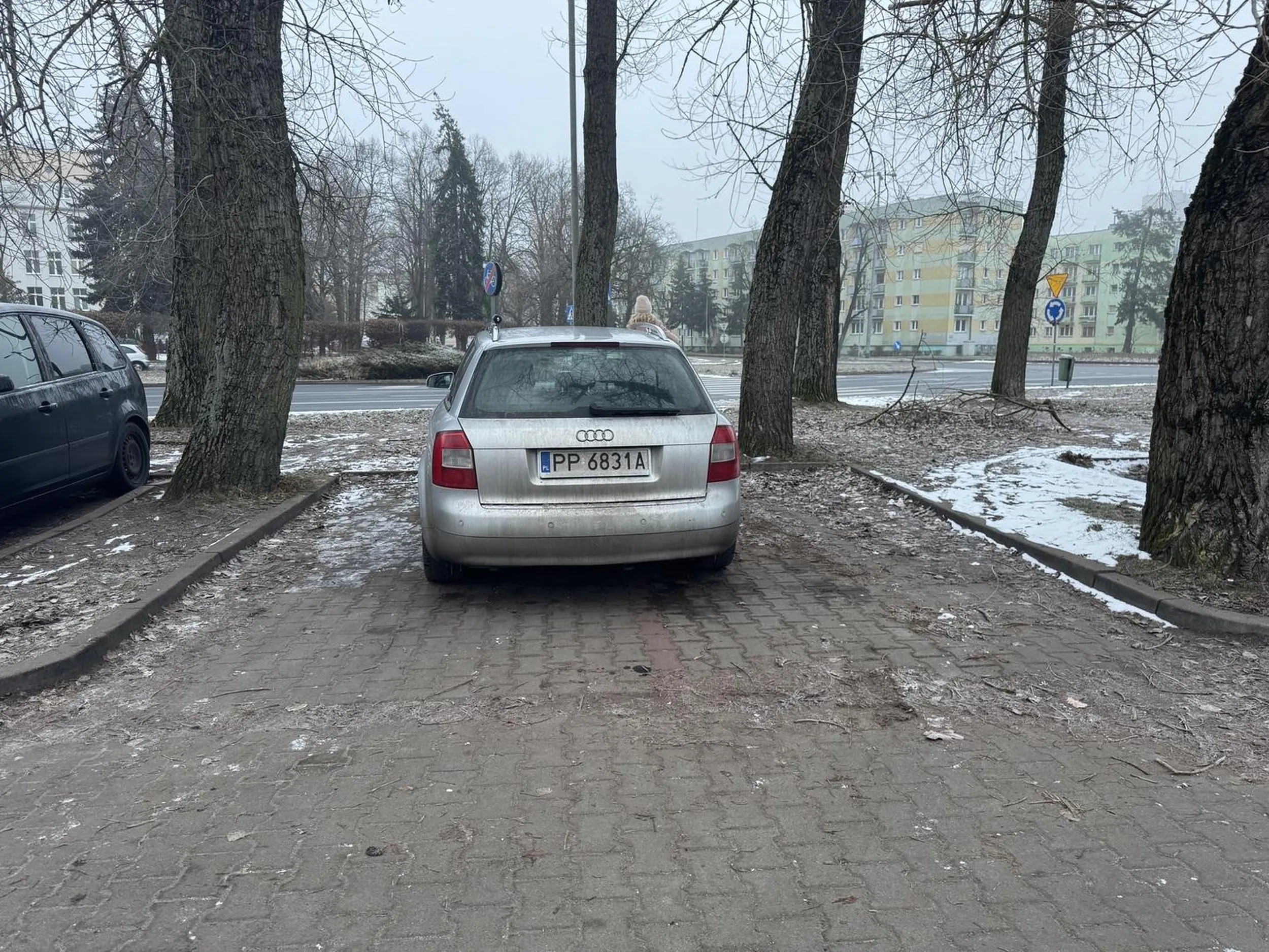 naucz sie parkowac w liniach