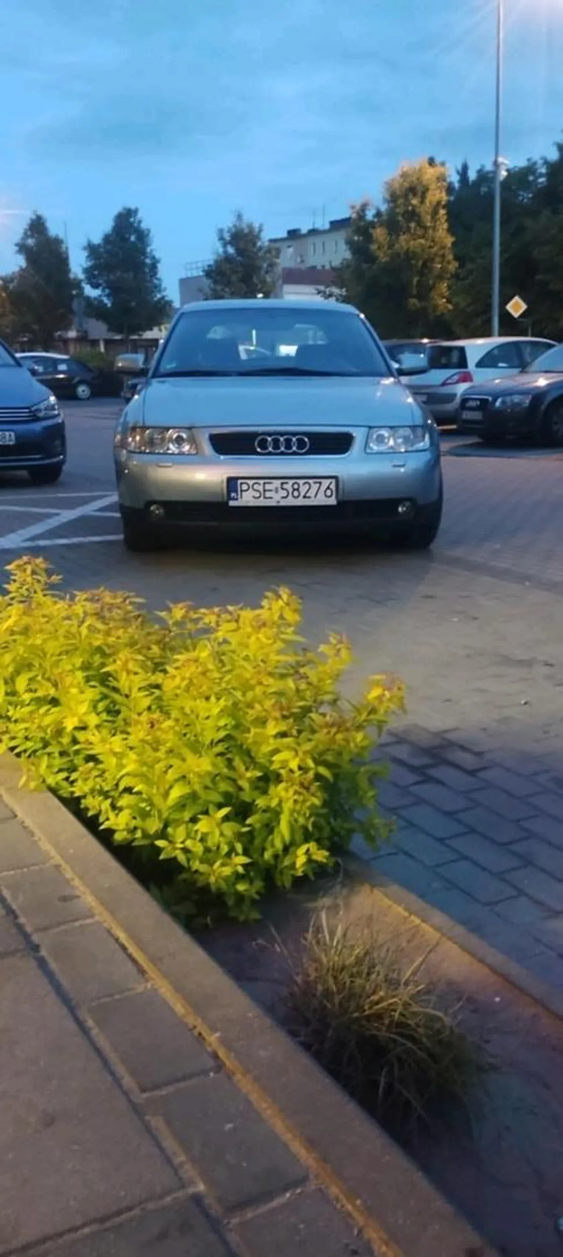 Kierowca Audi ?