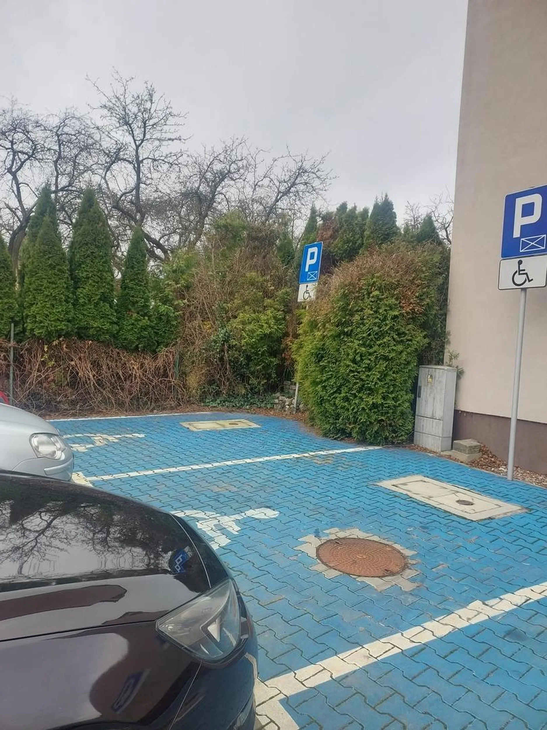To jest według ciebie poprawne parkowanie z pełnym dostępem do miejsca dla niepełnosprawnych?!? ?
