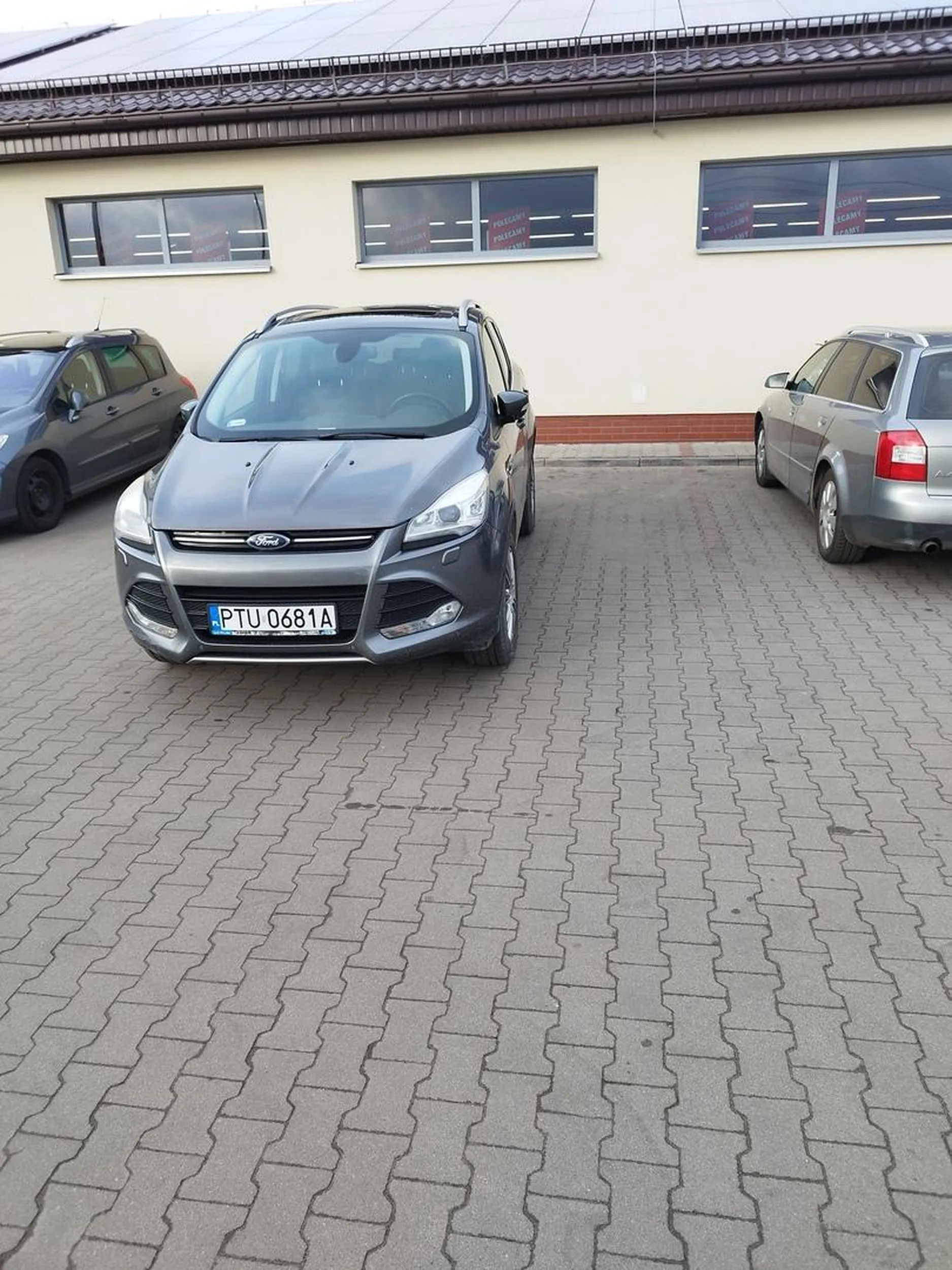 Mistrzyni parkowania