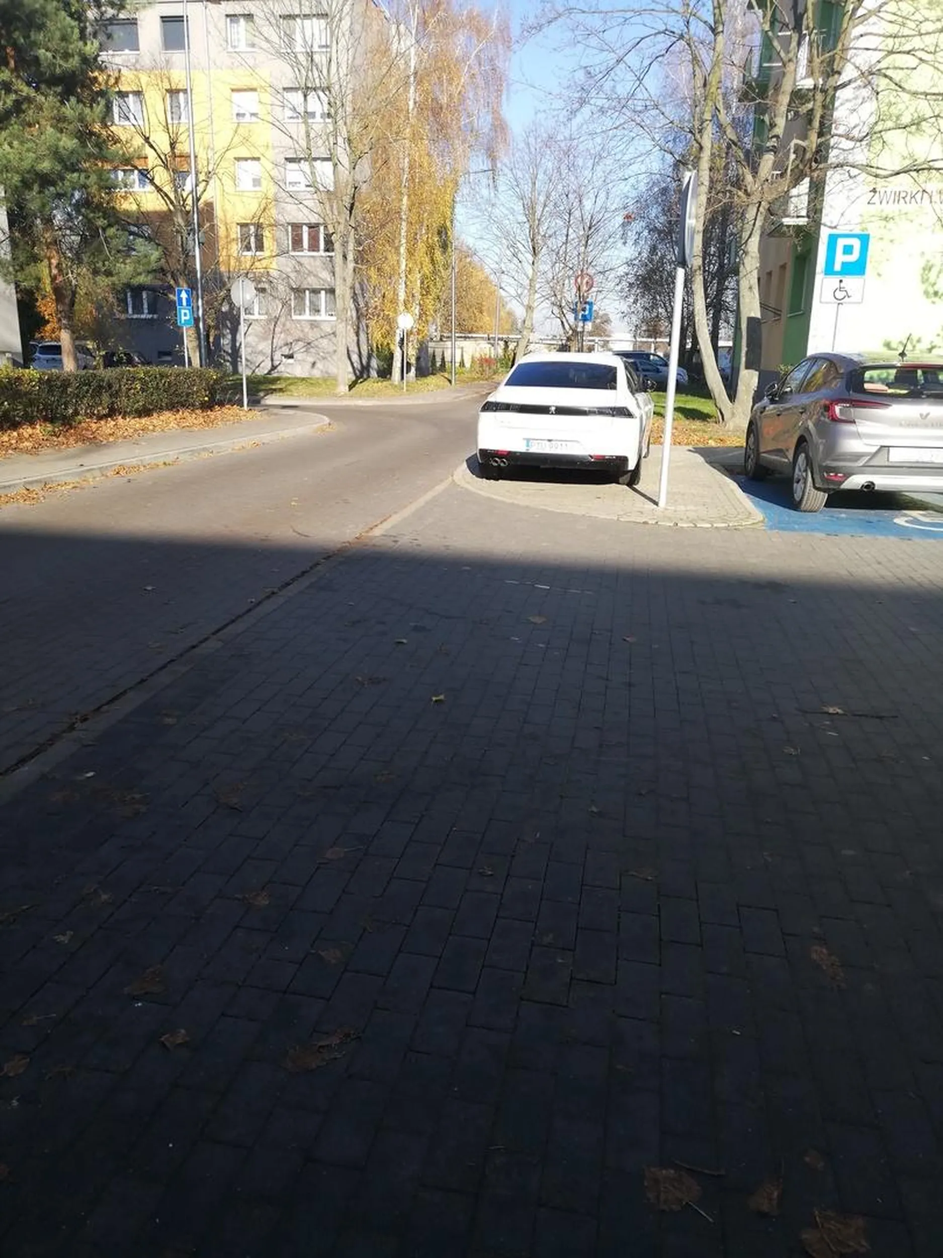 W strefie zamieszkania parkować można tylko w wyznaczonych miejscach! Chodnik do tego nie służy! Kierowco doucz się.