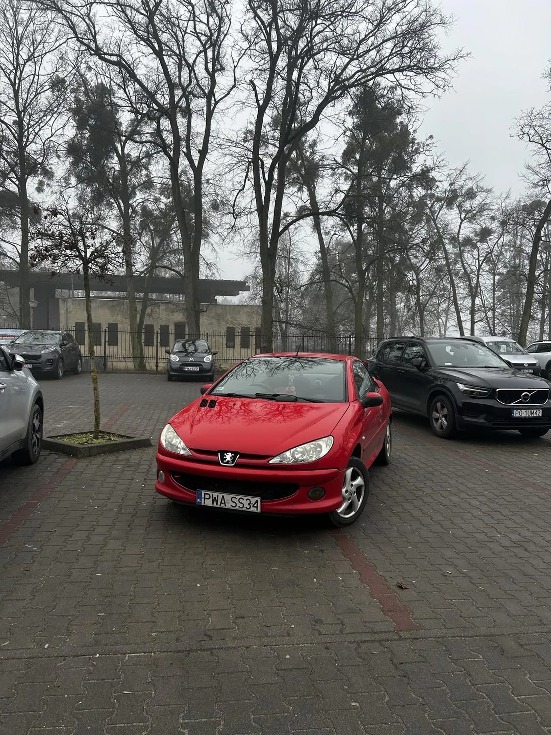 Prawo jazdy zdawane tylko do przodu