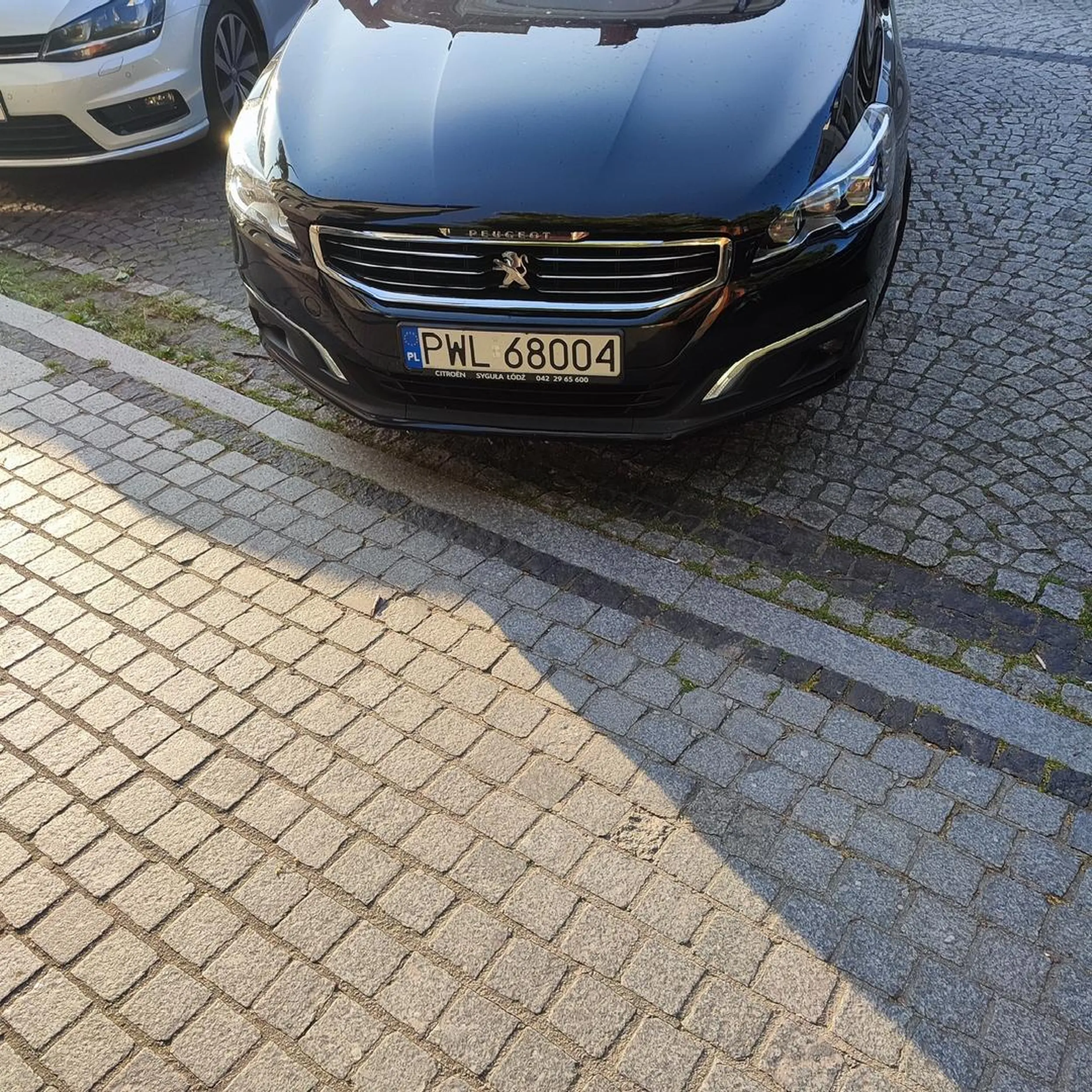 Parkuje na wyjeździe z ulicy dla mieszkańców, używa do tego świateł awaryjnych oraz odpalony silnik ponad minutę