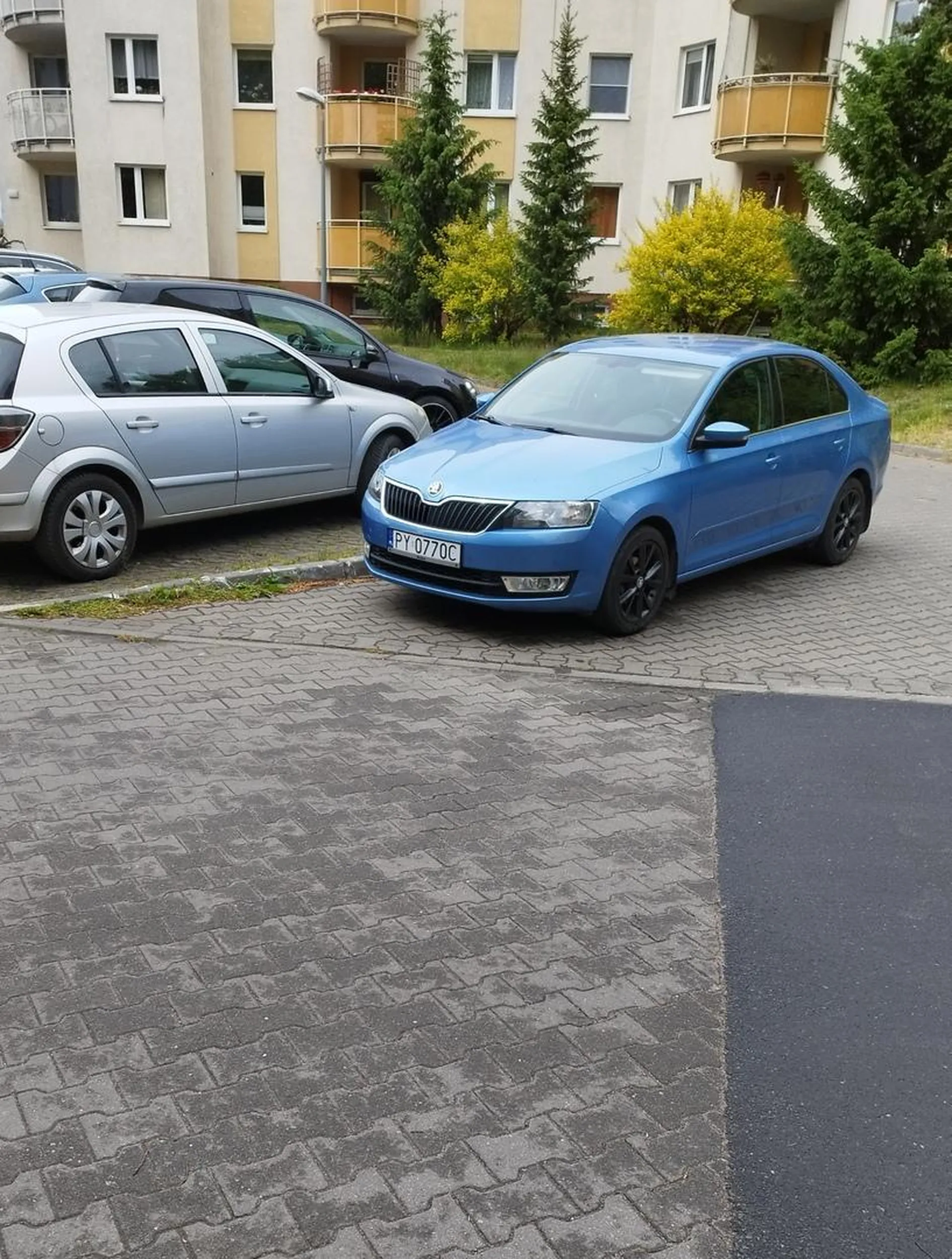 Milosnik parkowania w przejezdzie