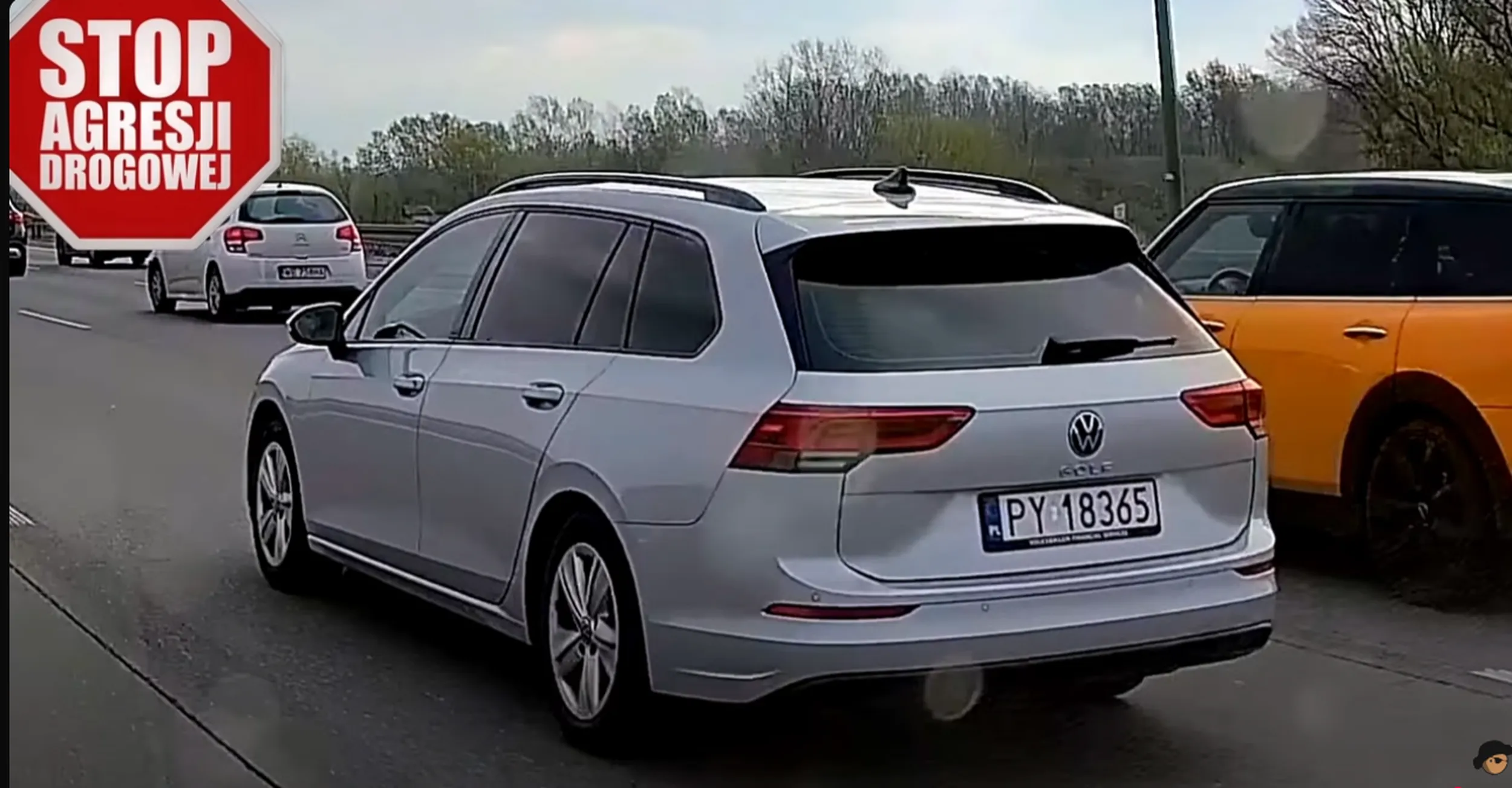 Synu corwy podziwiaj się w Internecie