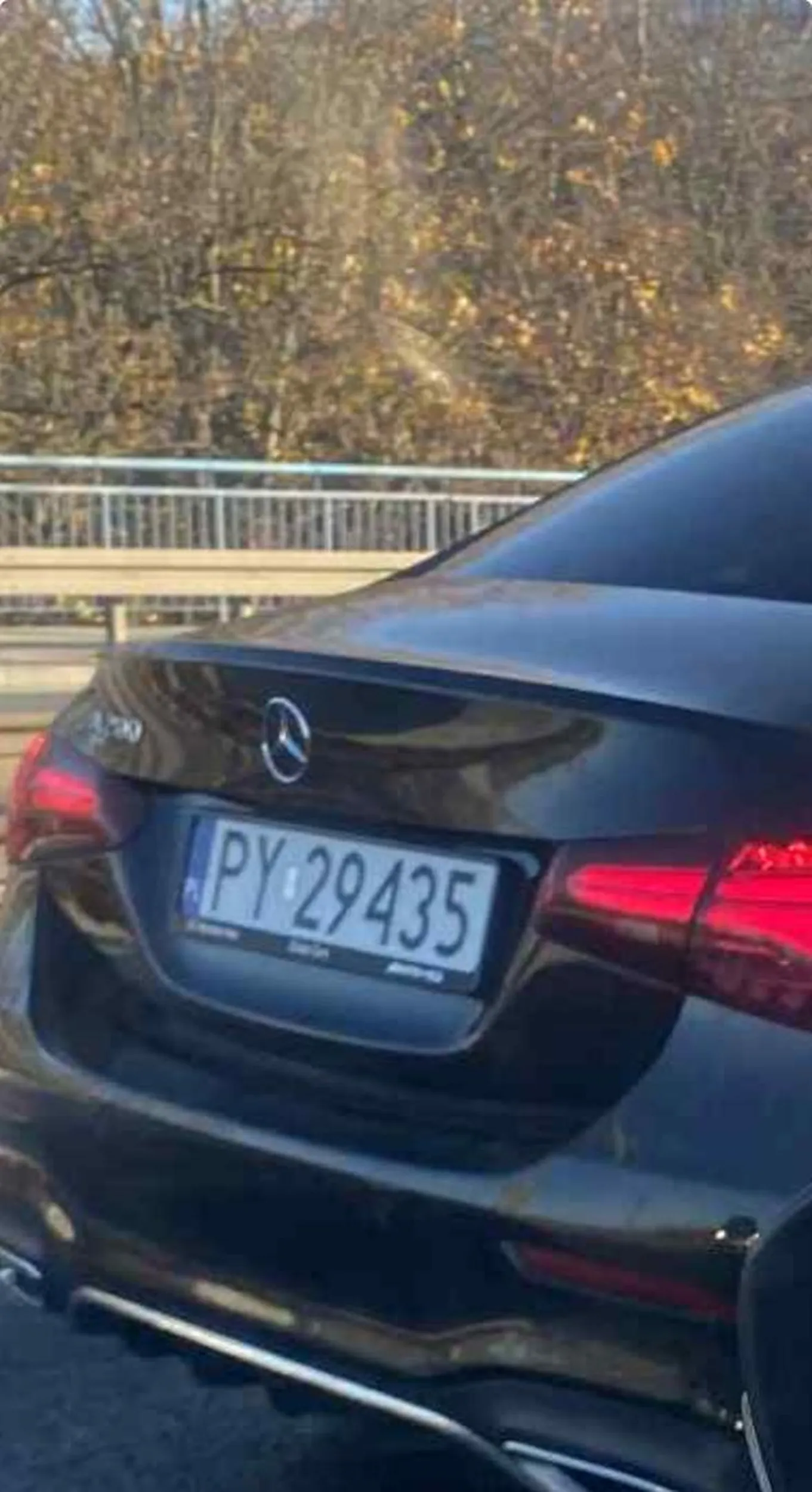 glupia cipa jeździć nie potrafi