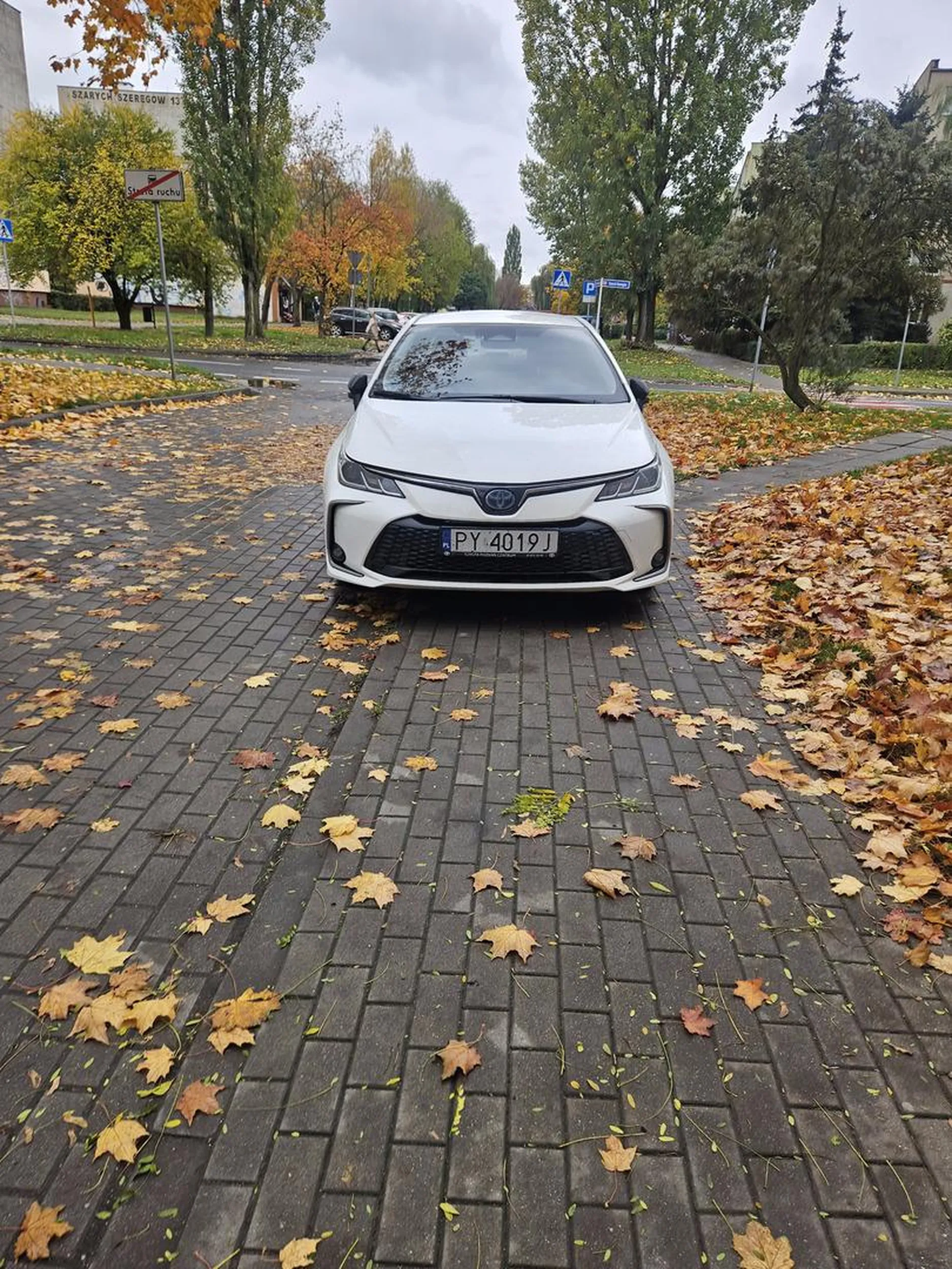 Auto zaparkowane na chodniku