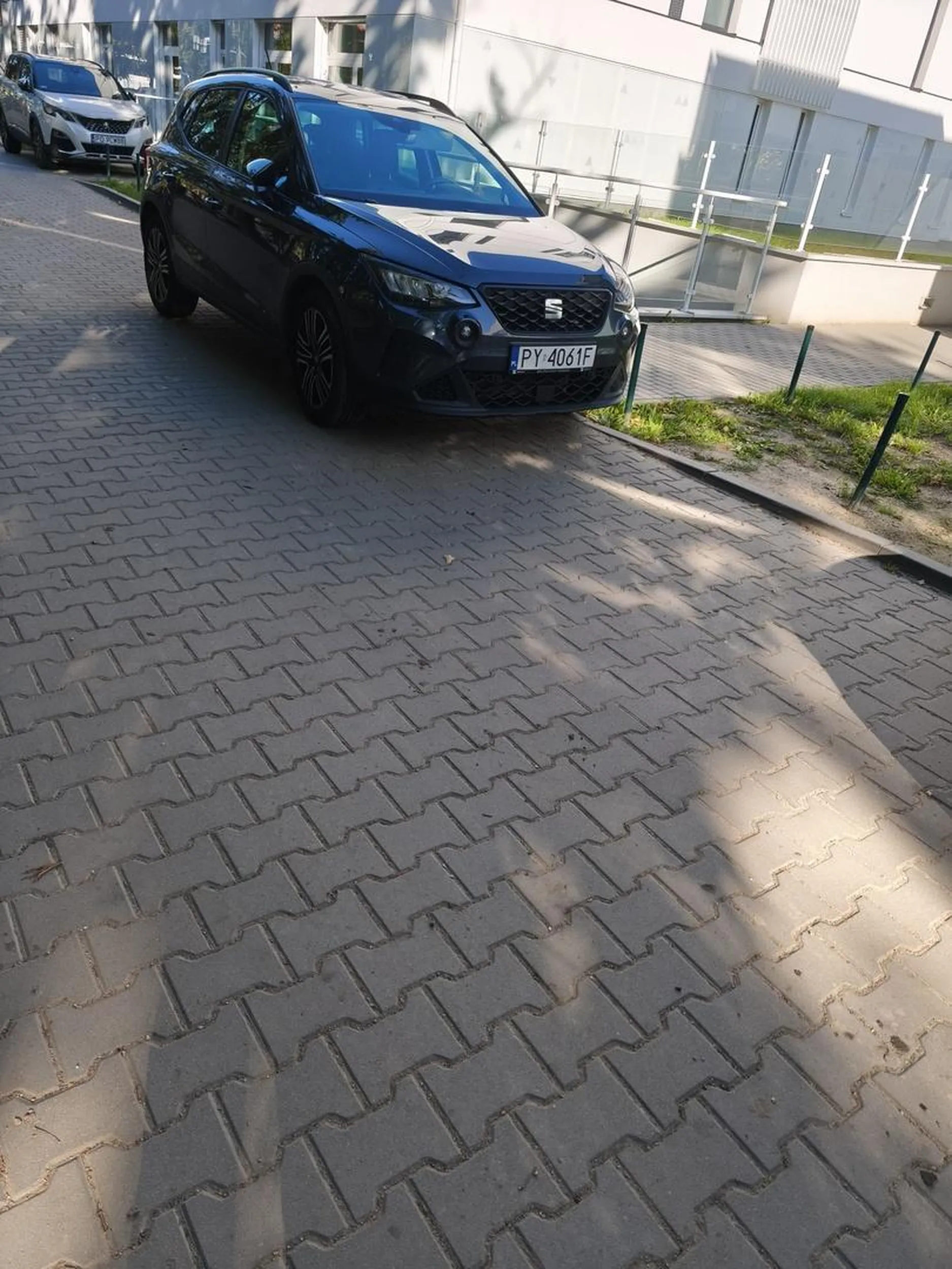 A pieszy to ma latac bo swieta krowa przyjechala