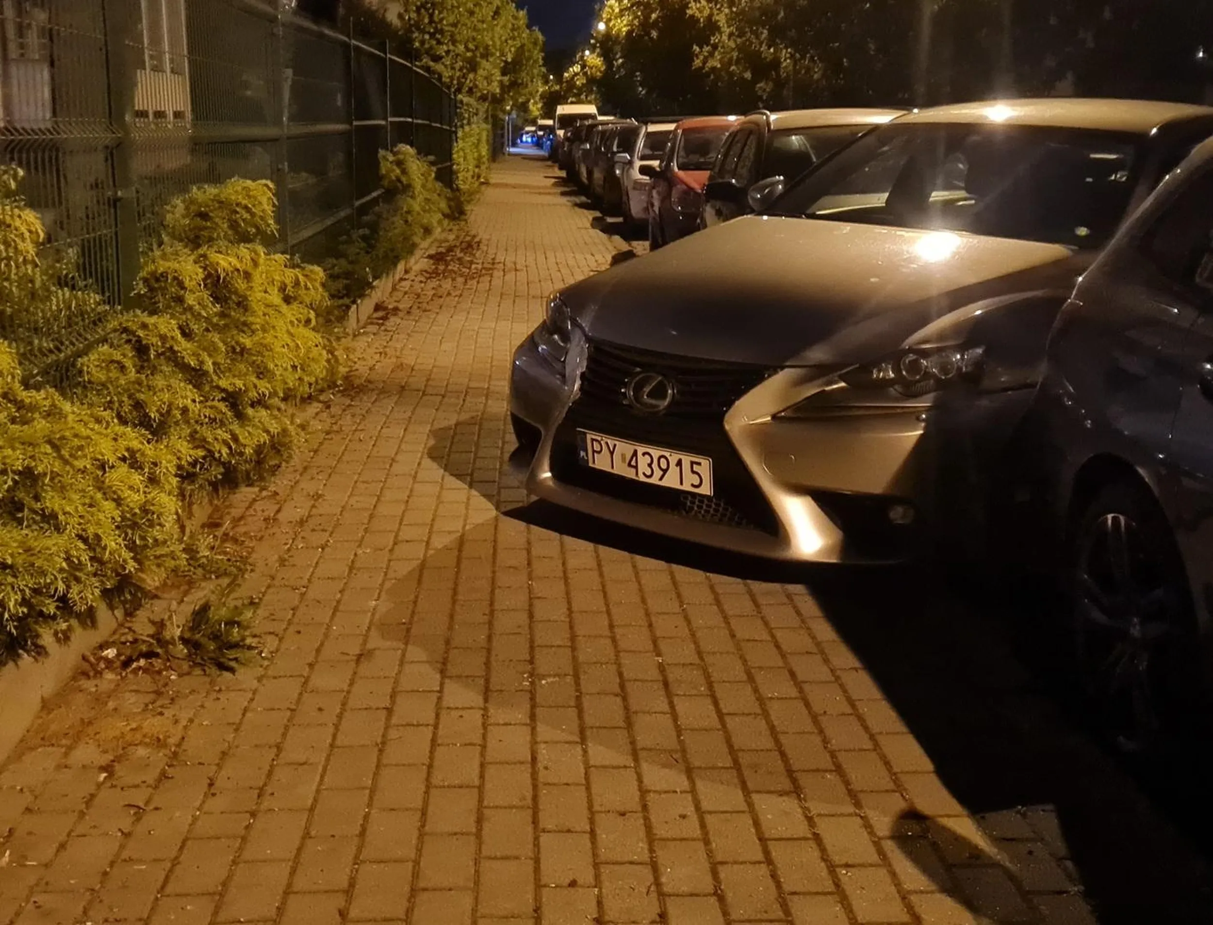 Gałganisko dalej robi co chce.