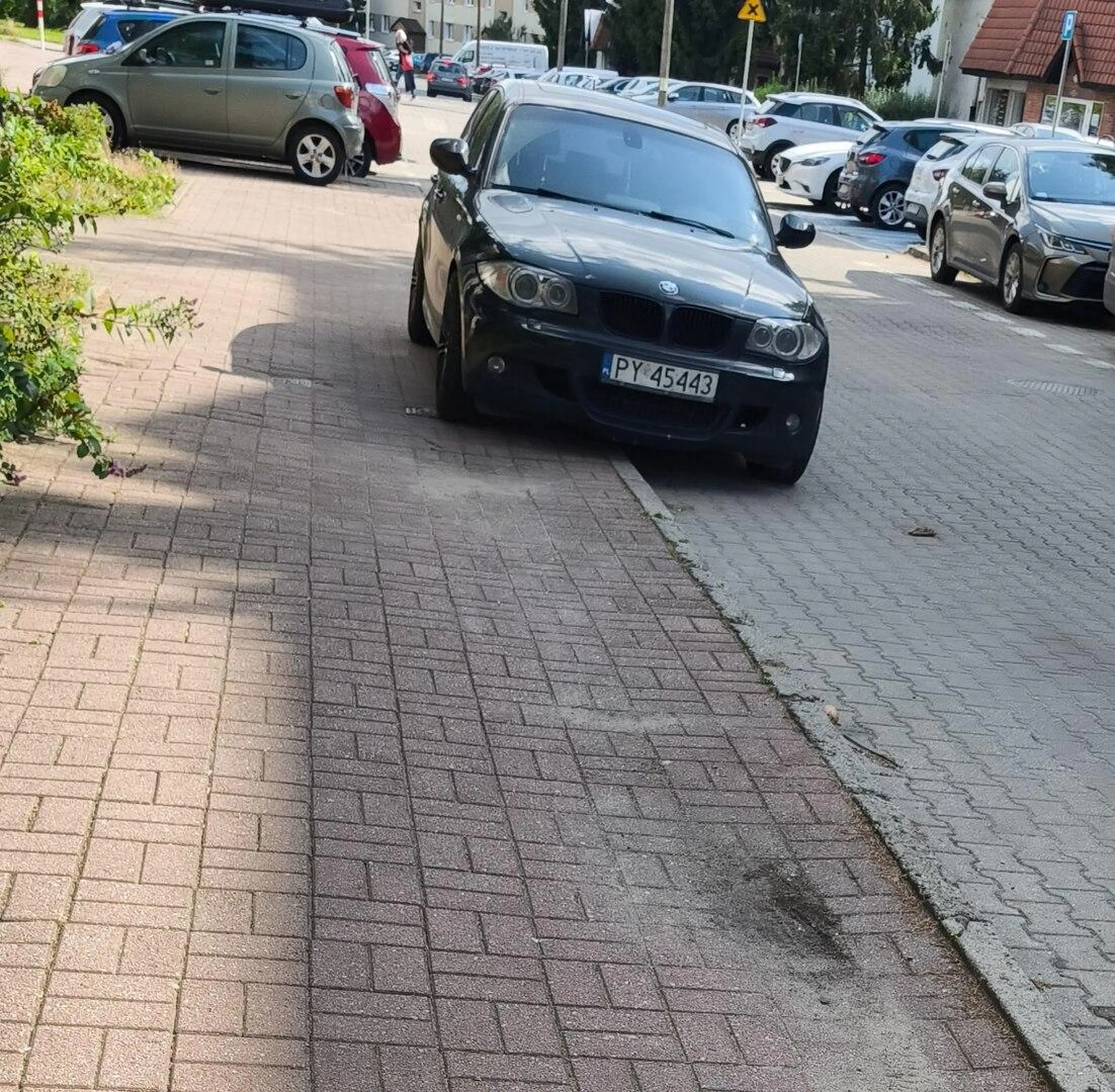 Krol chodnikow oczywiscie poza wyznaczonym miejscem.