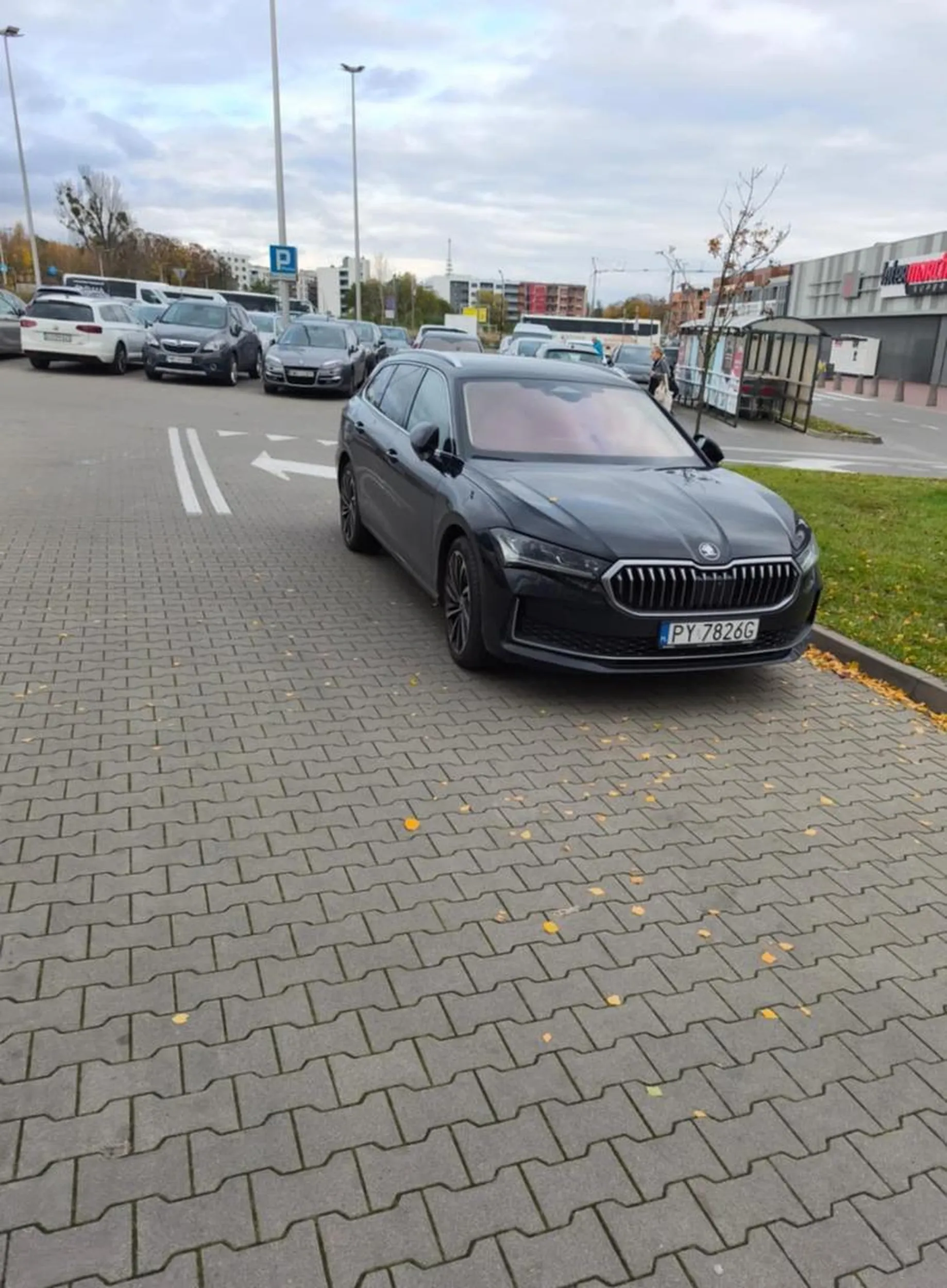 Lepszego miejsca na parkowanie chyba nie było