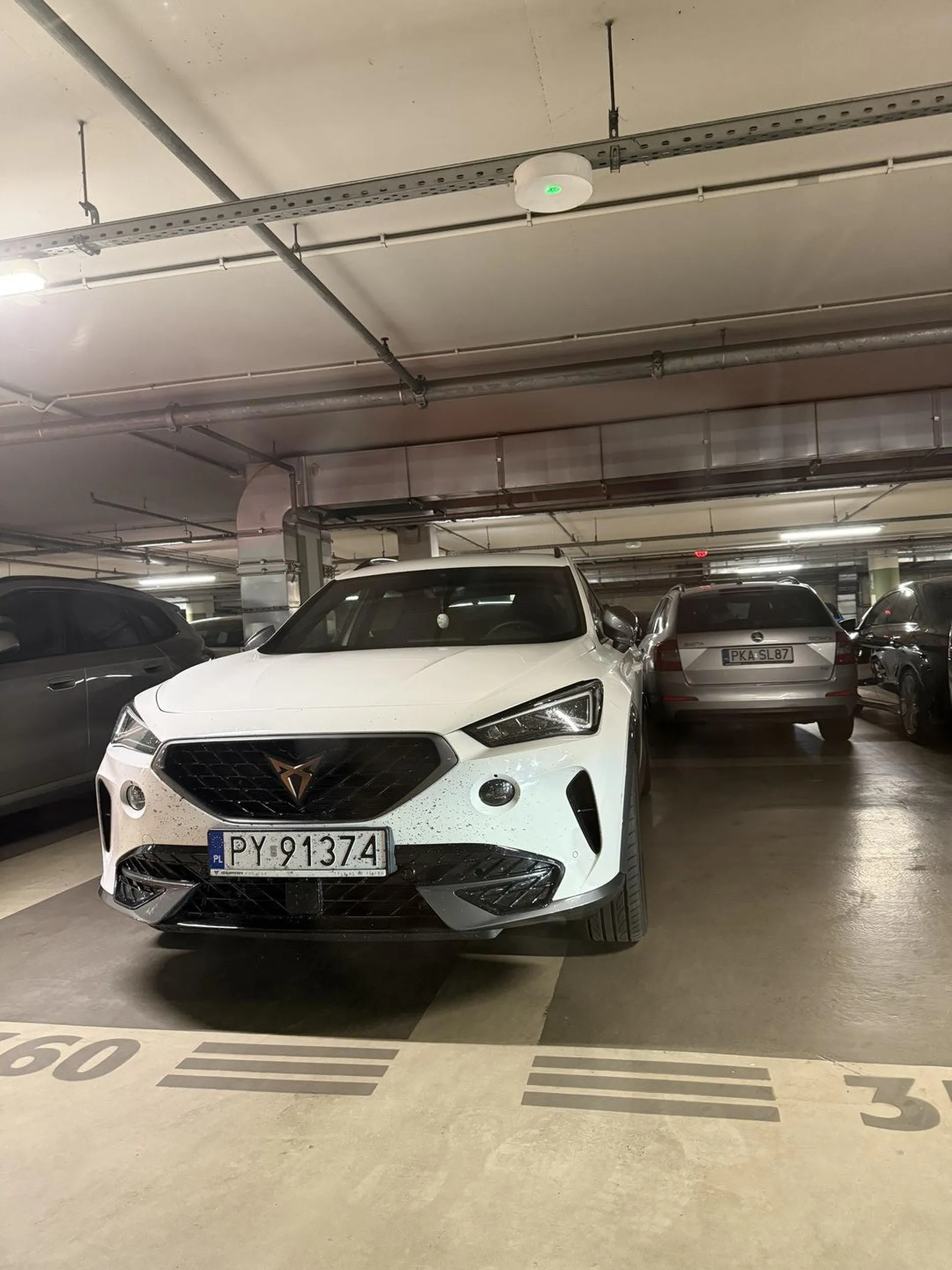 prawko wygrane w chipsach